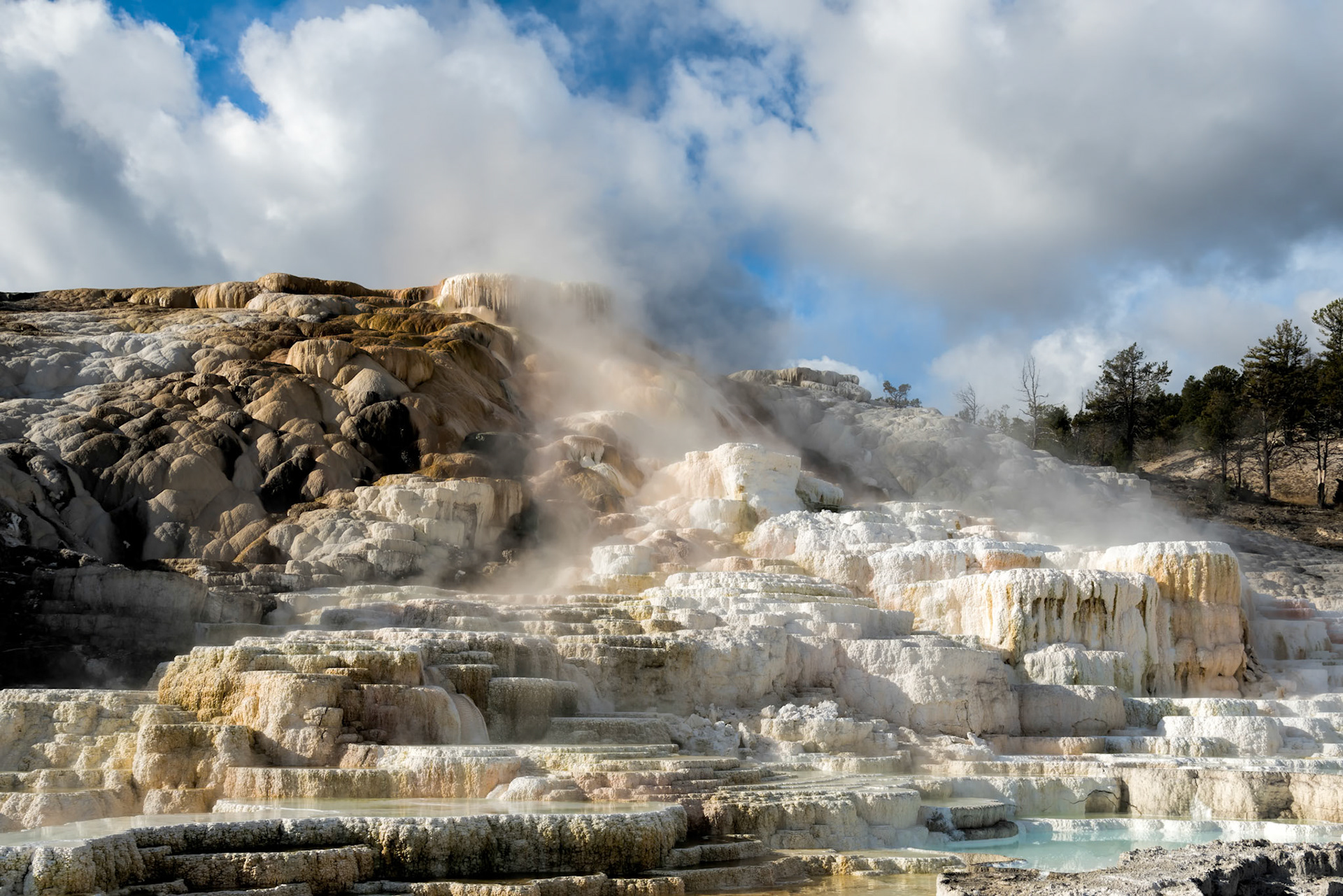 Mammoth Hot Springs