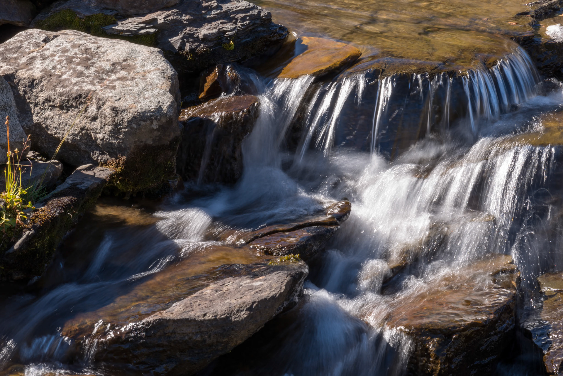Rapids in Glacier National Park next to the Going to the Sun Road