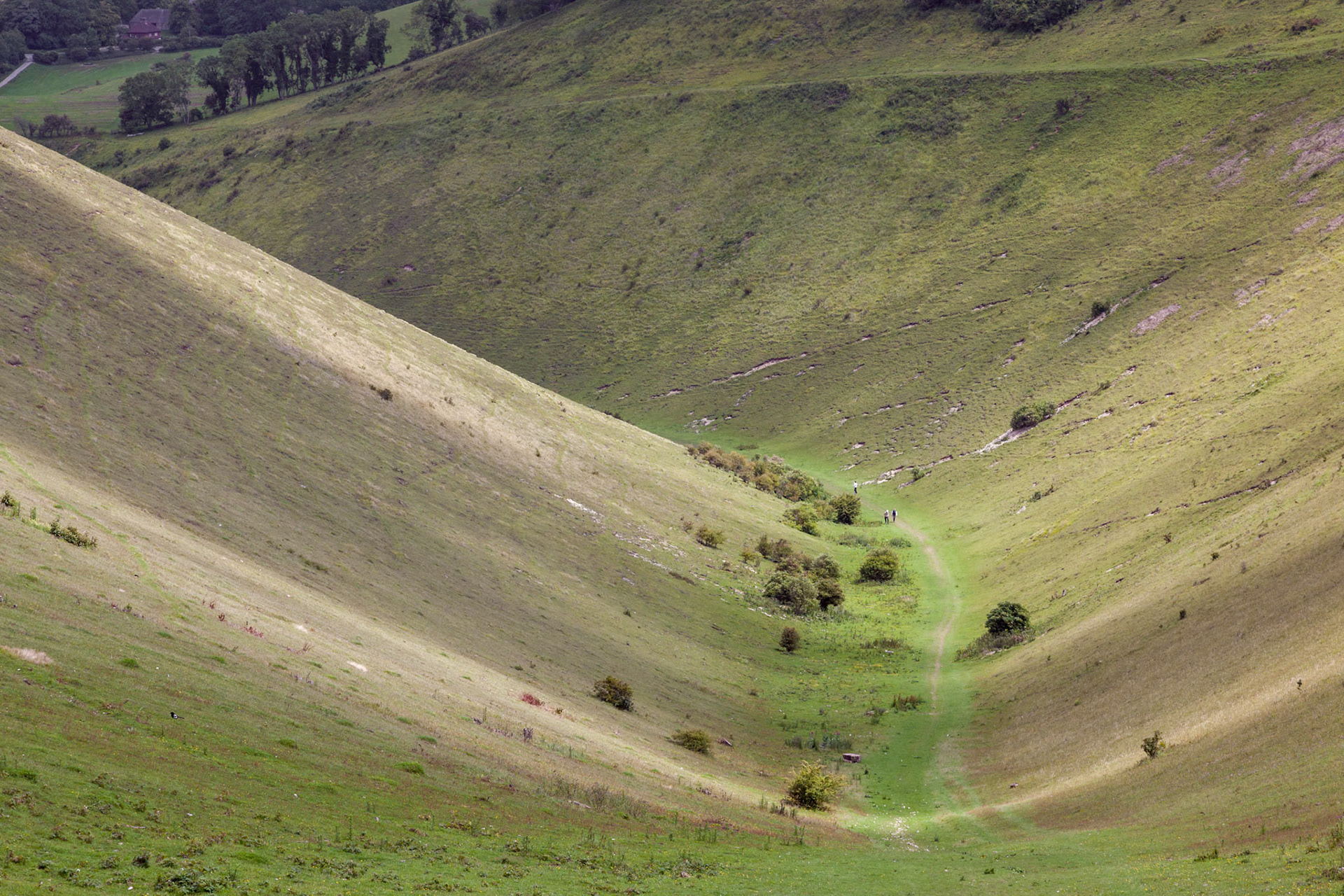Devil's Dyke near Brighton