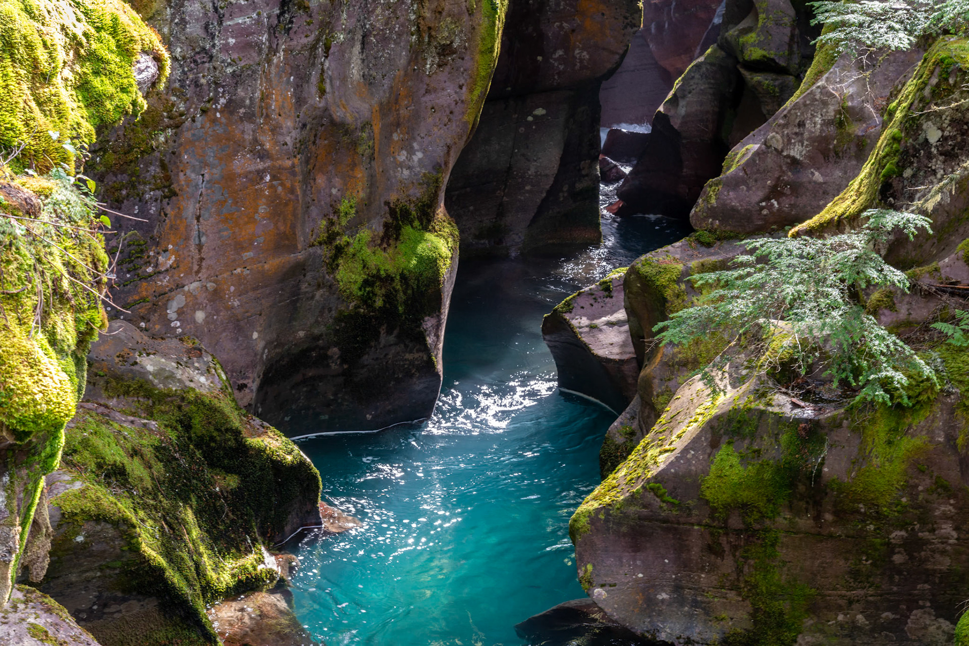 Looking into Avalanche Creek