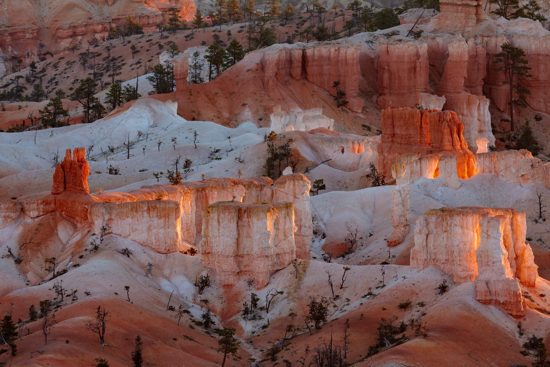 First Rays of the Sun Striking the Hoodoos in Bryce Canyon