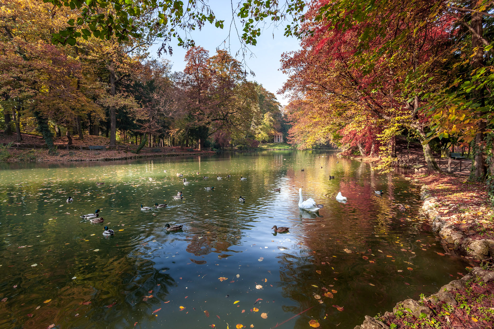 Autumn Scene at the Lake in Parco di Monza