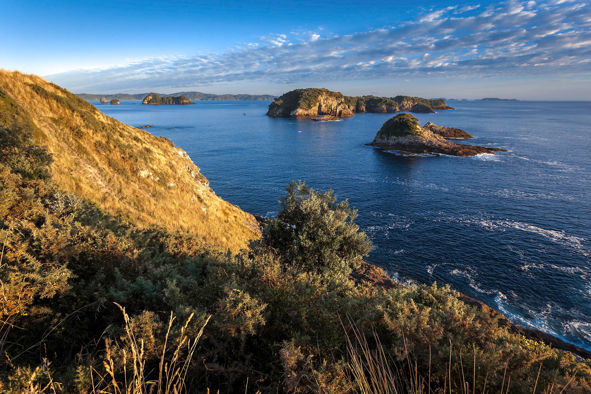 Coromandel Coastline