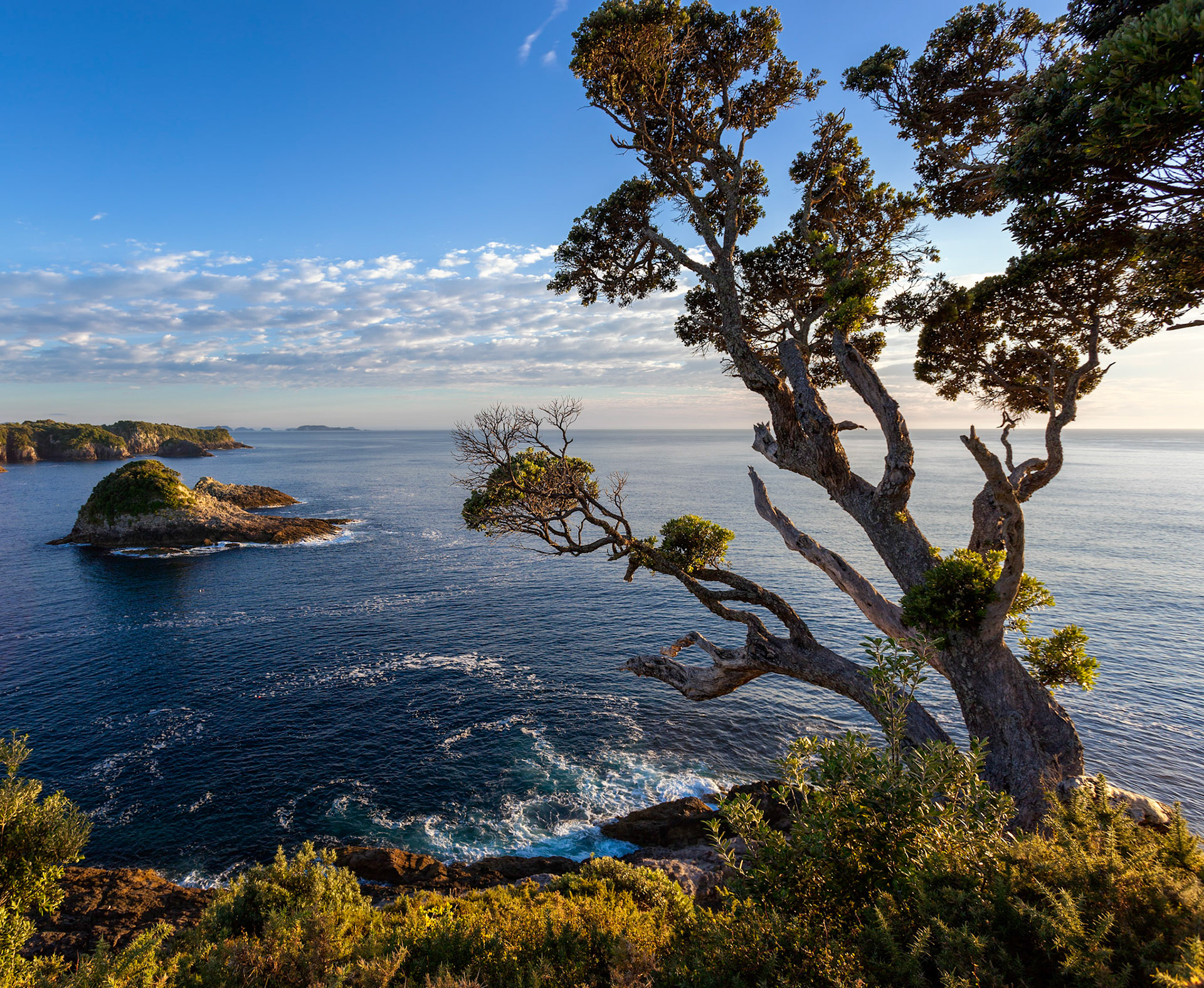 Sunrise at Te Pare Point