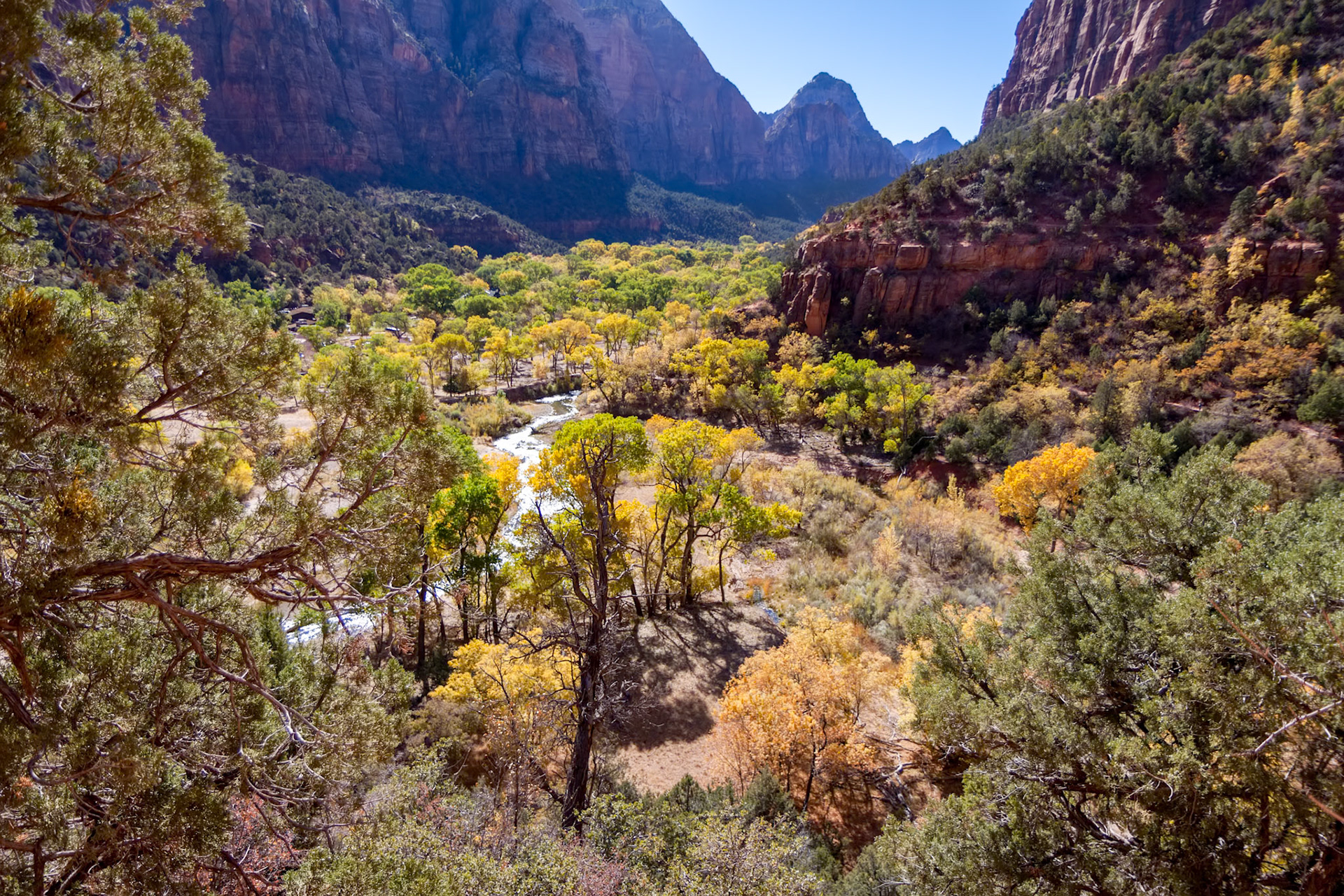 Verdant Virgin River Valley