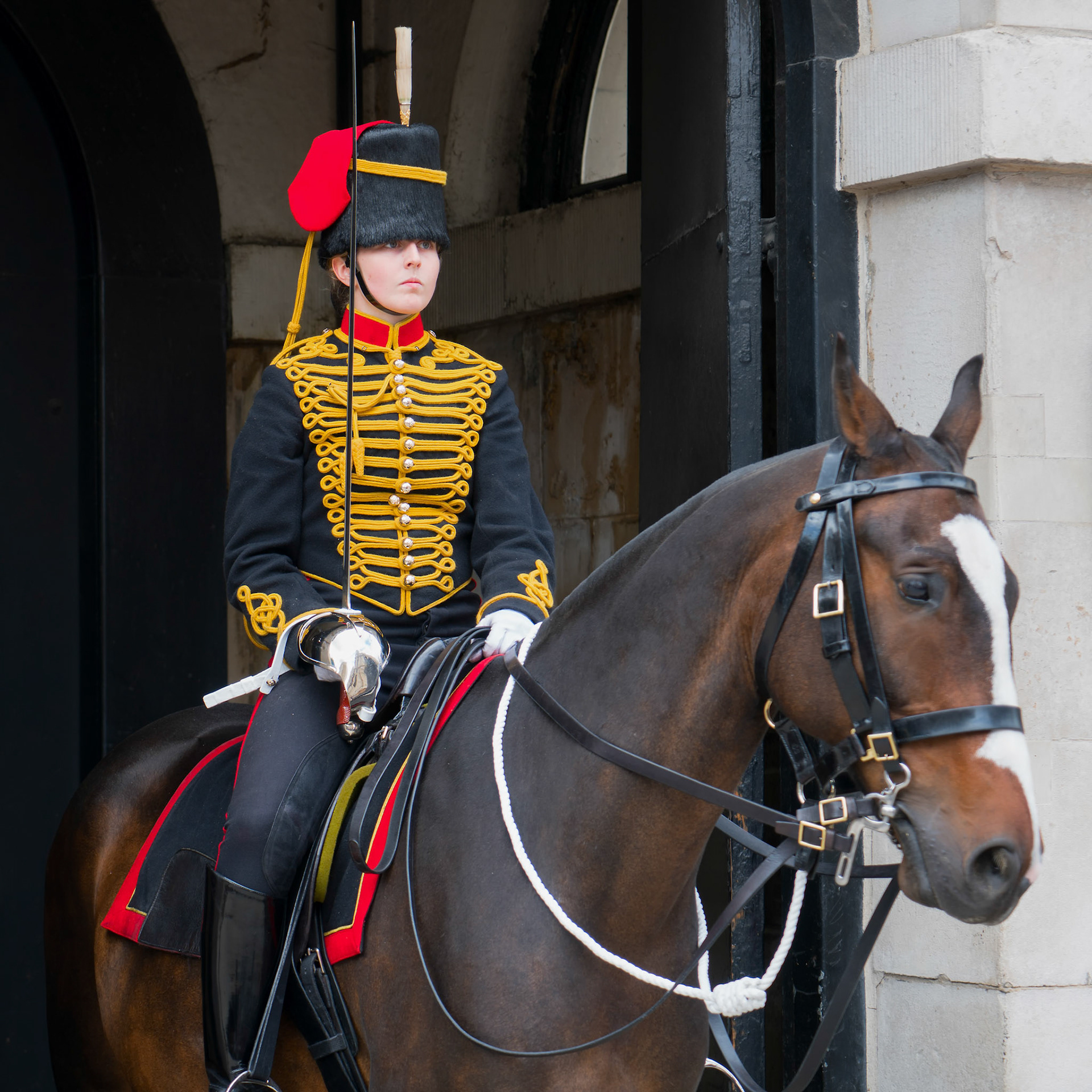 LONDON - JULY 30 : Kings Troop Royal Horse Artillery in Whitehall London on July 30, 2017. Unidentified woman