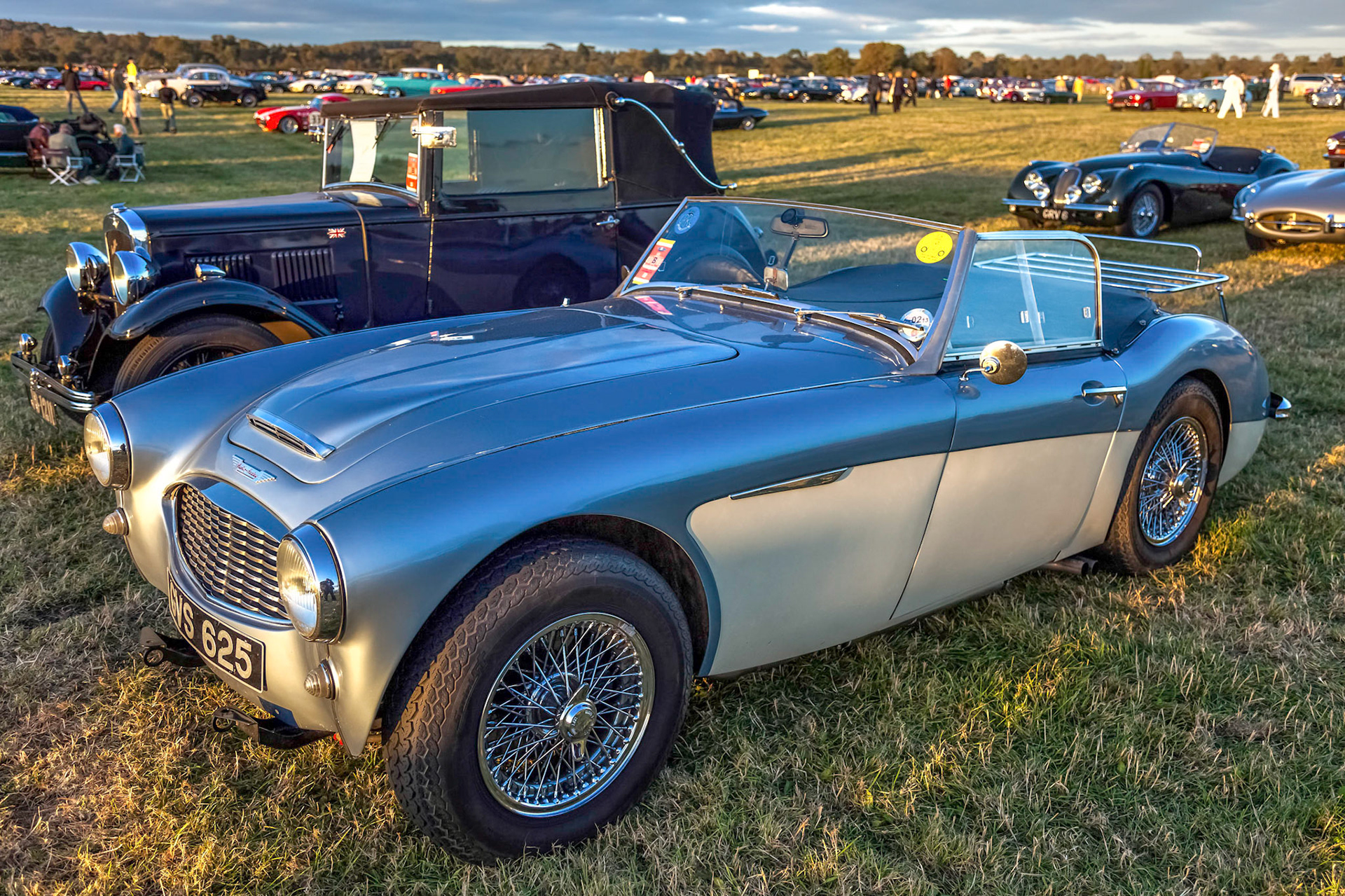 Old Austin Healey Sports Car Parked at Goodwood