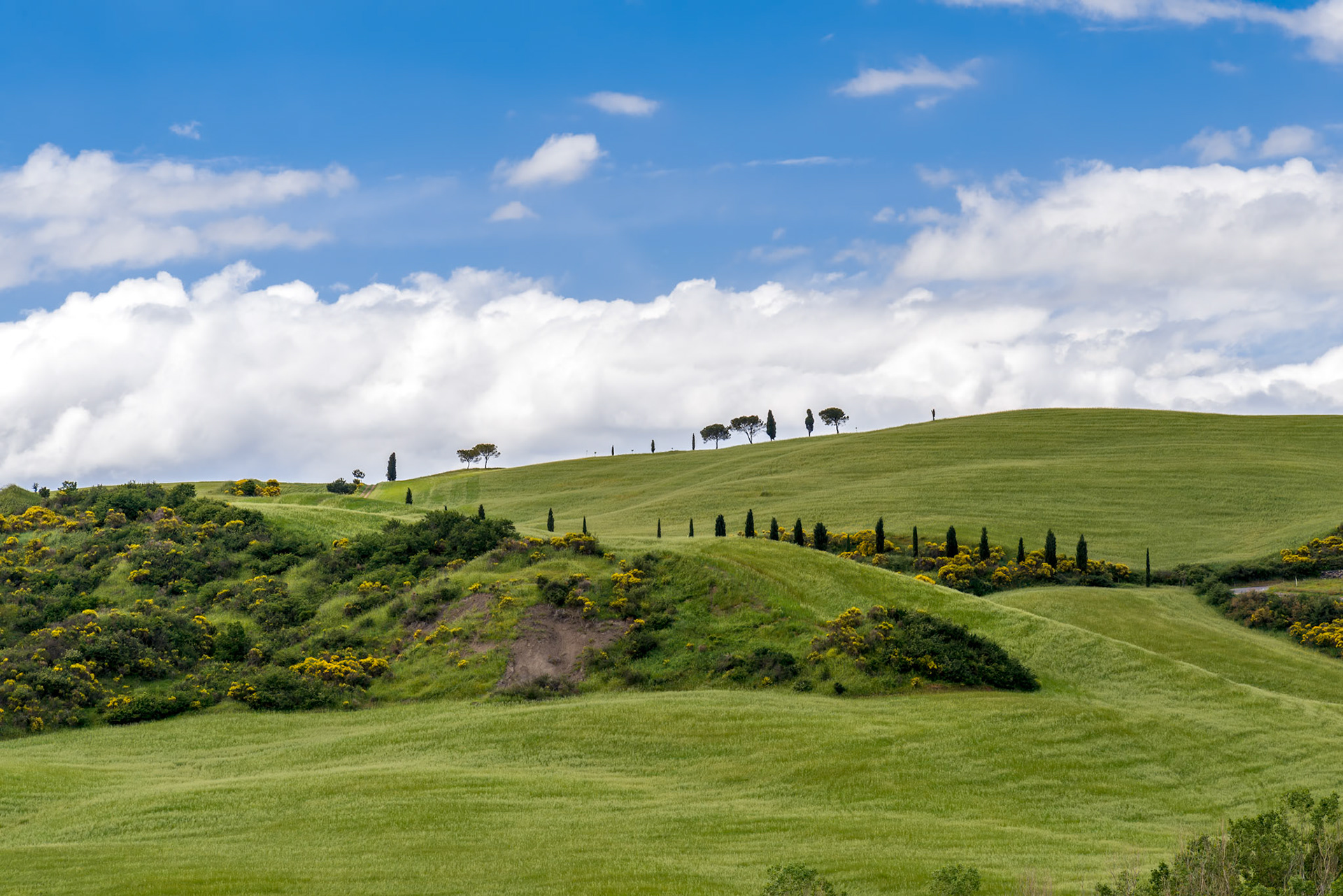 Tuscan Countryside