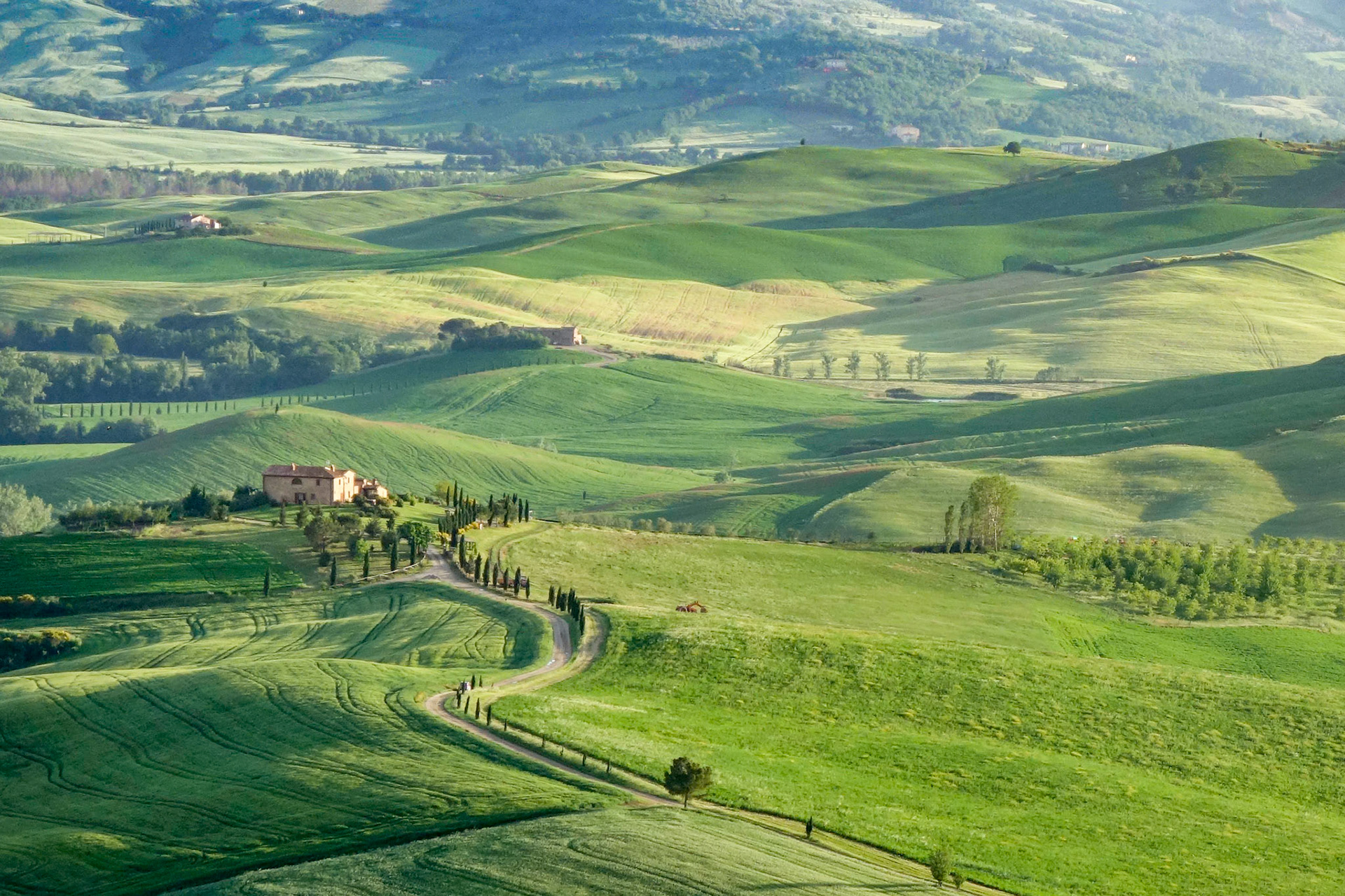 Countryside of Val d'Orcia near Pienza in Tuscany