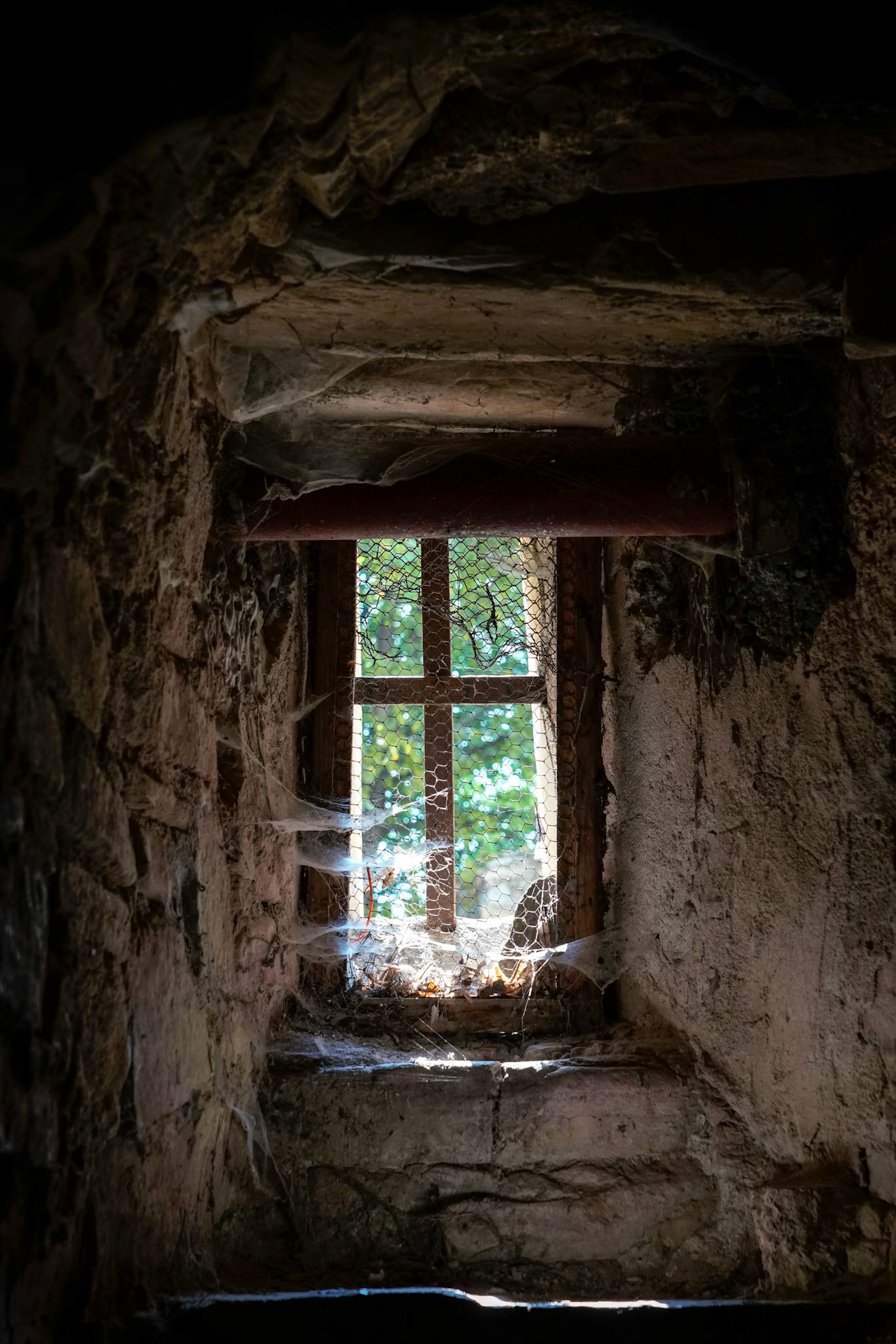 SIGHISOARA, TRANSYLVANIA/ROMANIA - SEPTEMBER 17 : View of the crypt in the Church on the Hill in Sighisoara Transylvania Romania on September 17, 2018
