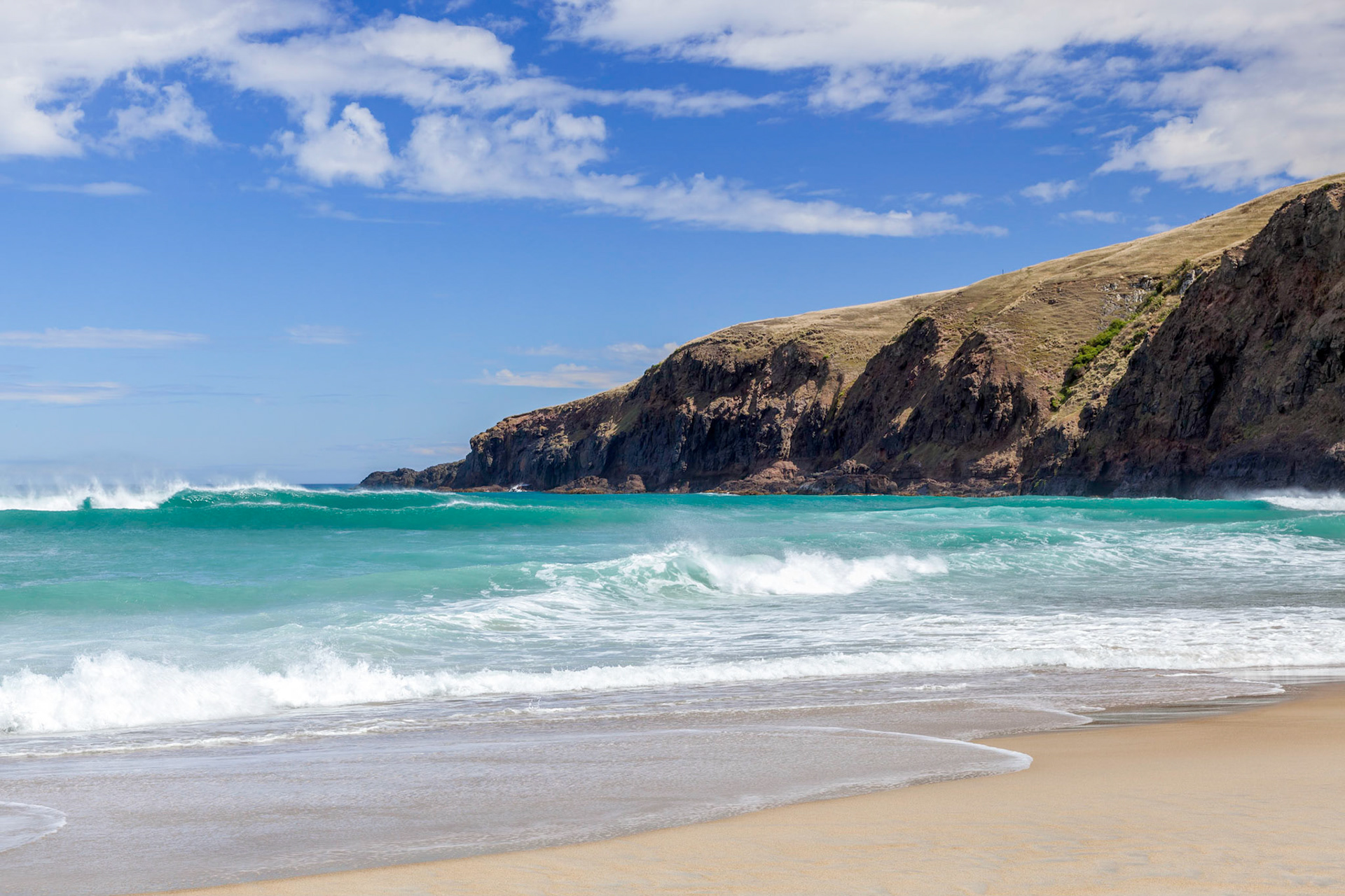 The pristine coastline at Sandfly Bay