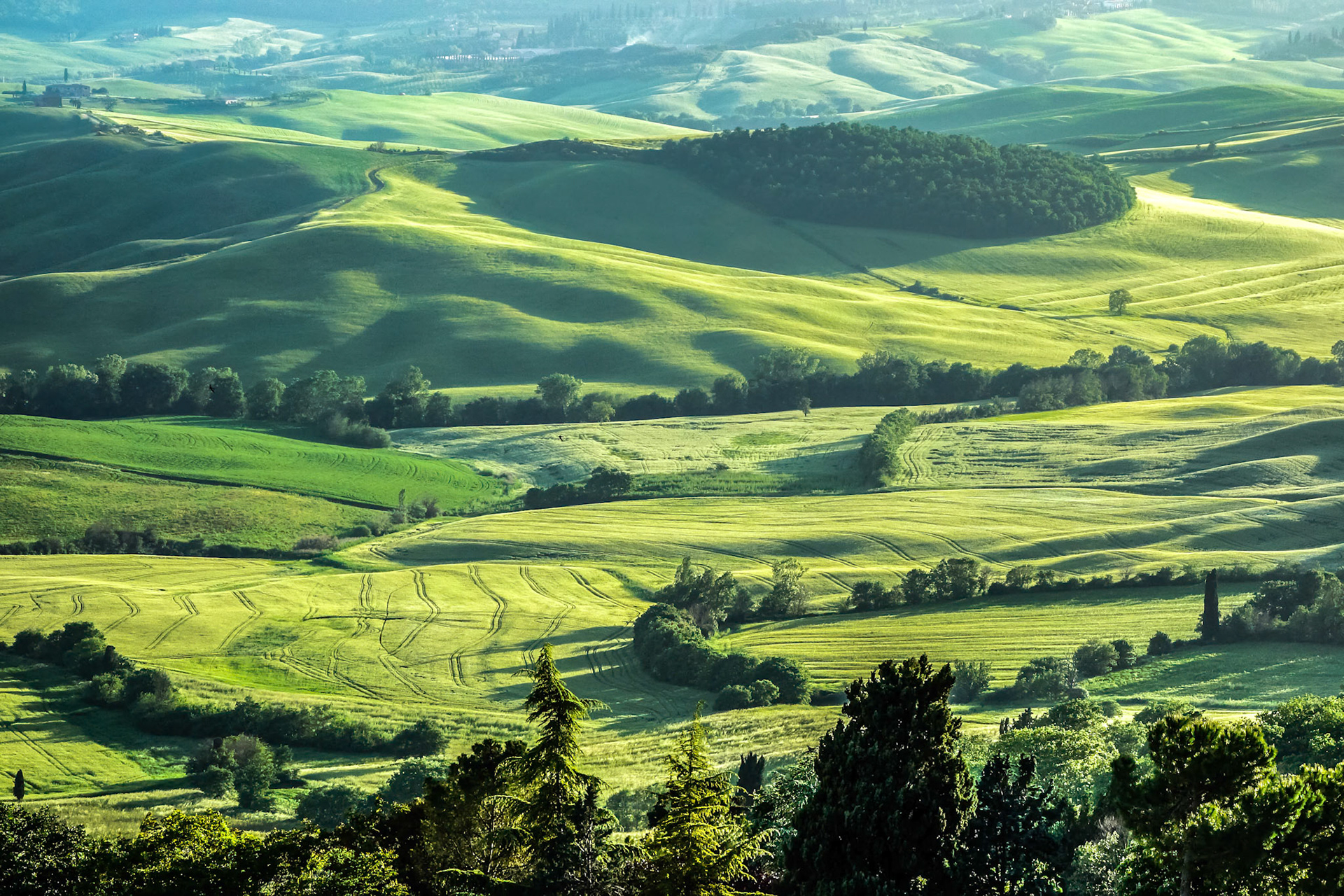 Countryside of Val d'Orcia near Pienza in Tuscany