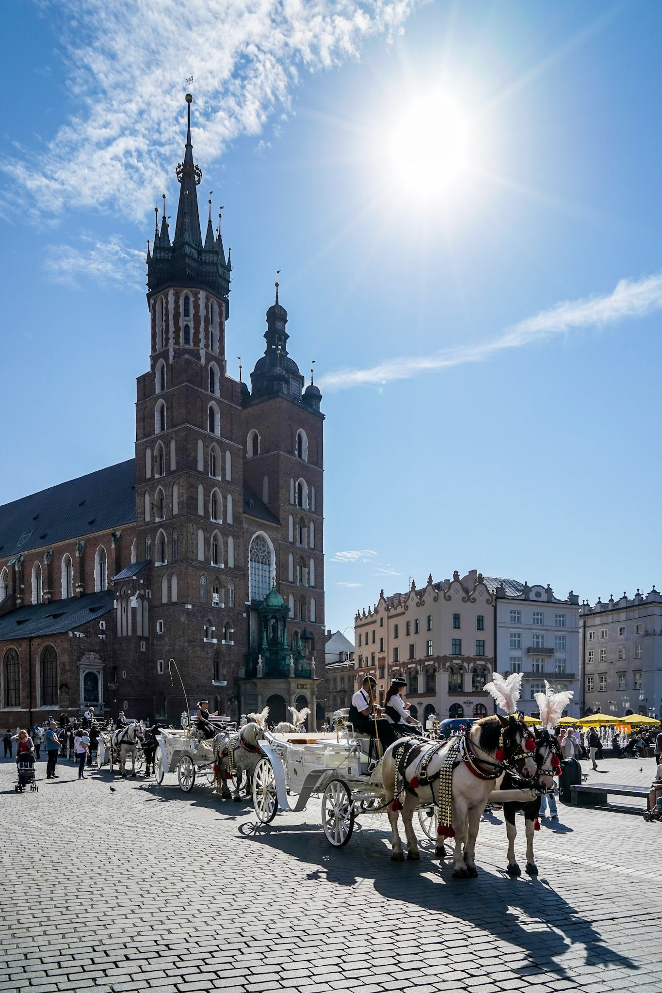 Carriage and Horses in Krakow