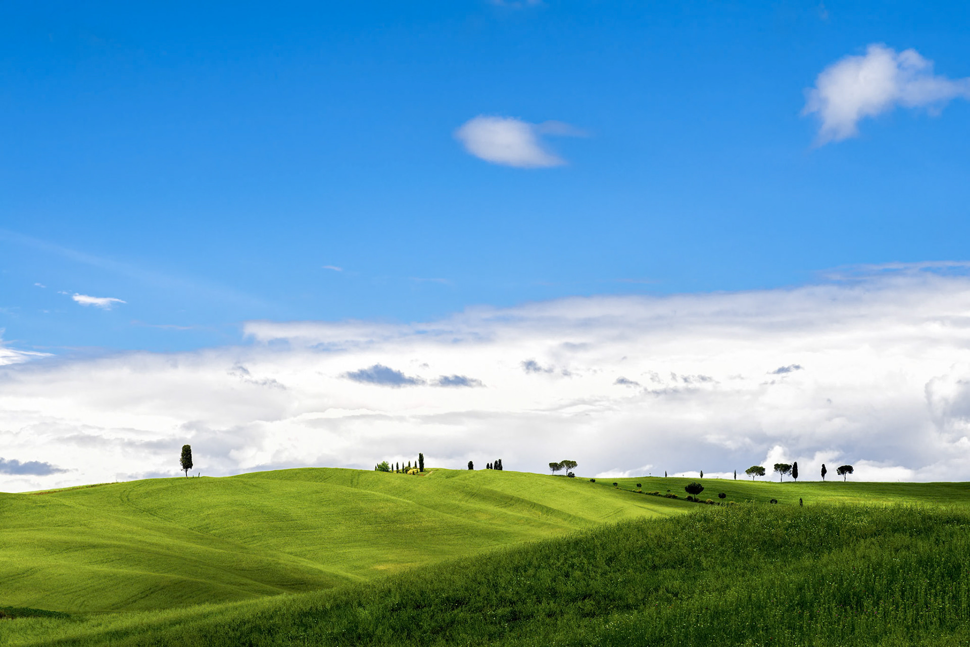 View of the Scenic Tuscan Countryside