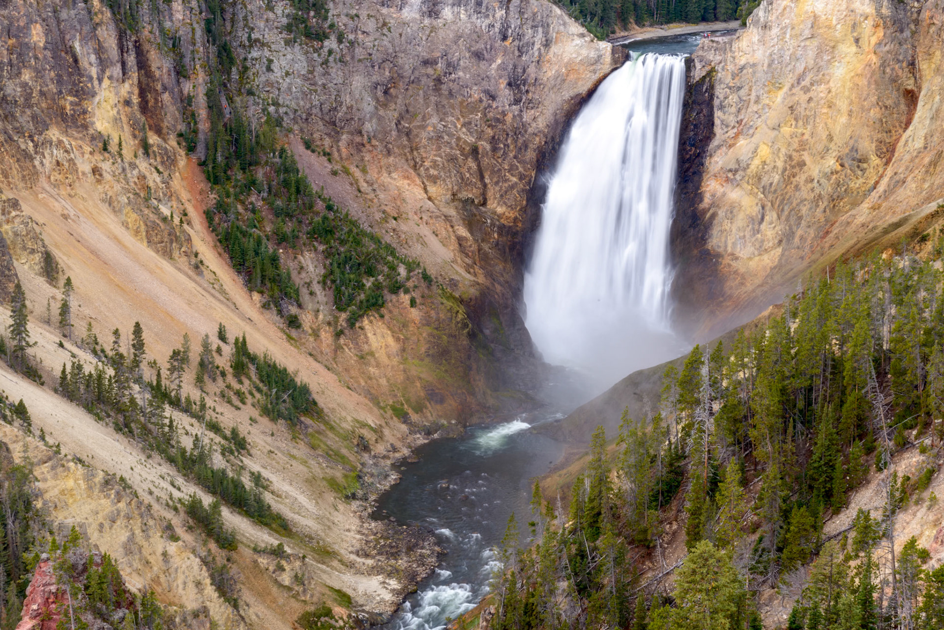Lower Yellowstone Falls