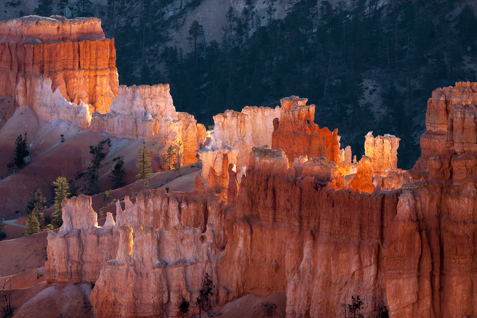 First Rays of the Sun Striking Bryce Canyon