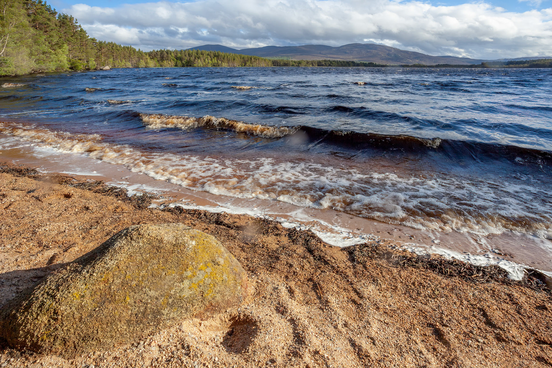 Choppy water on Loch Garten in Scotland