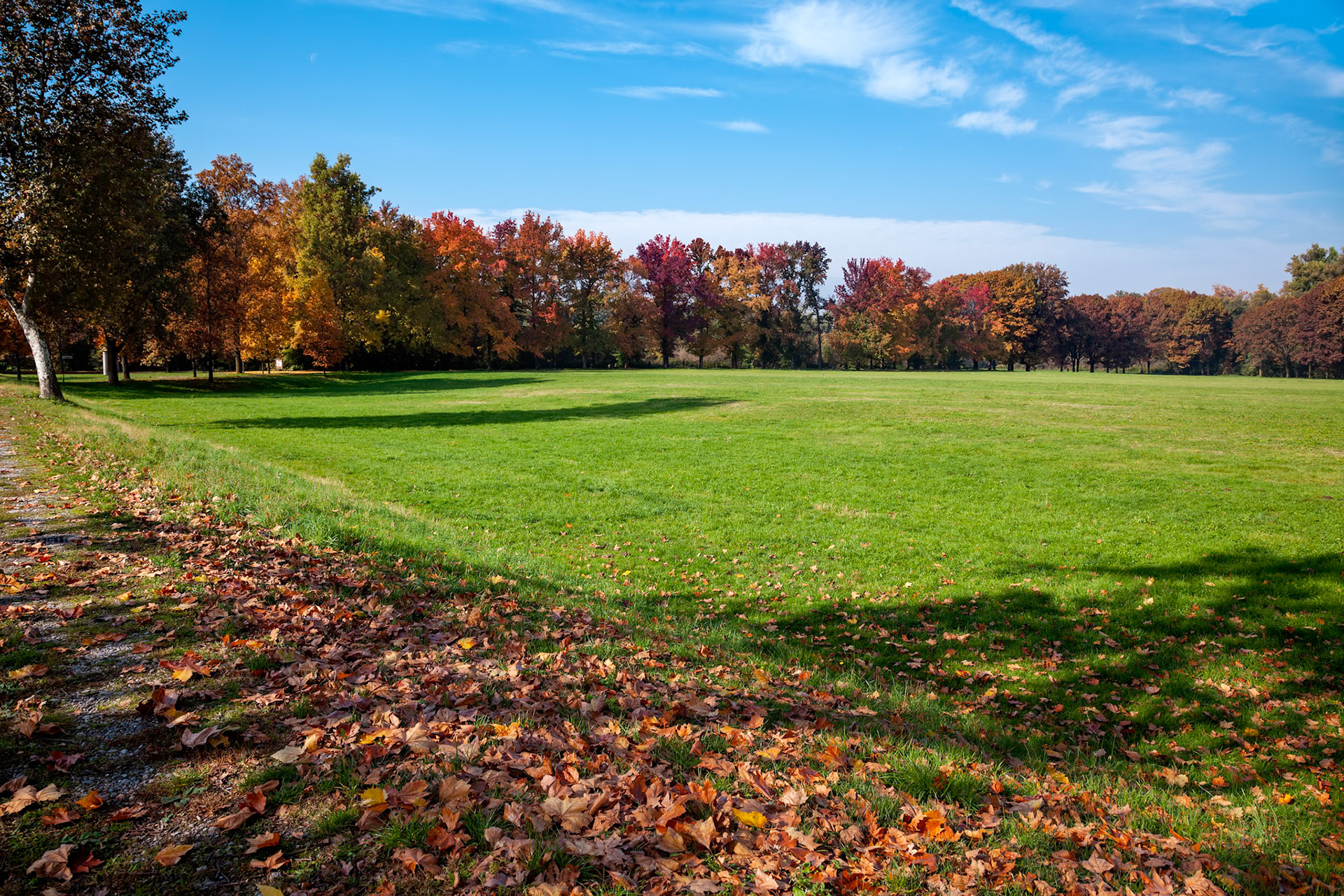 Autumn Tints in Parco di Monza Italy