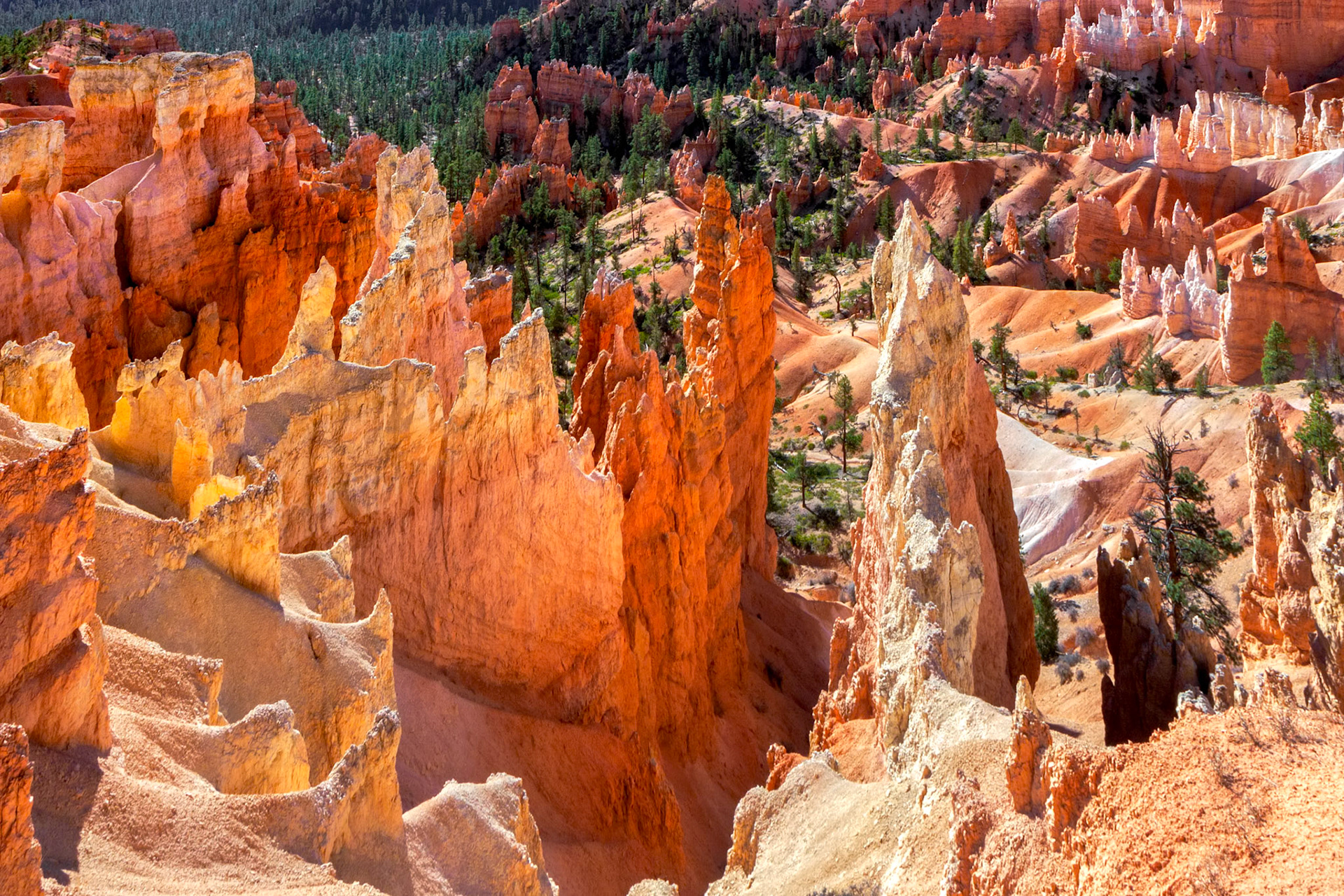 Treacherous Descent into Bryce Canyon