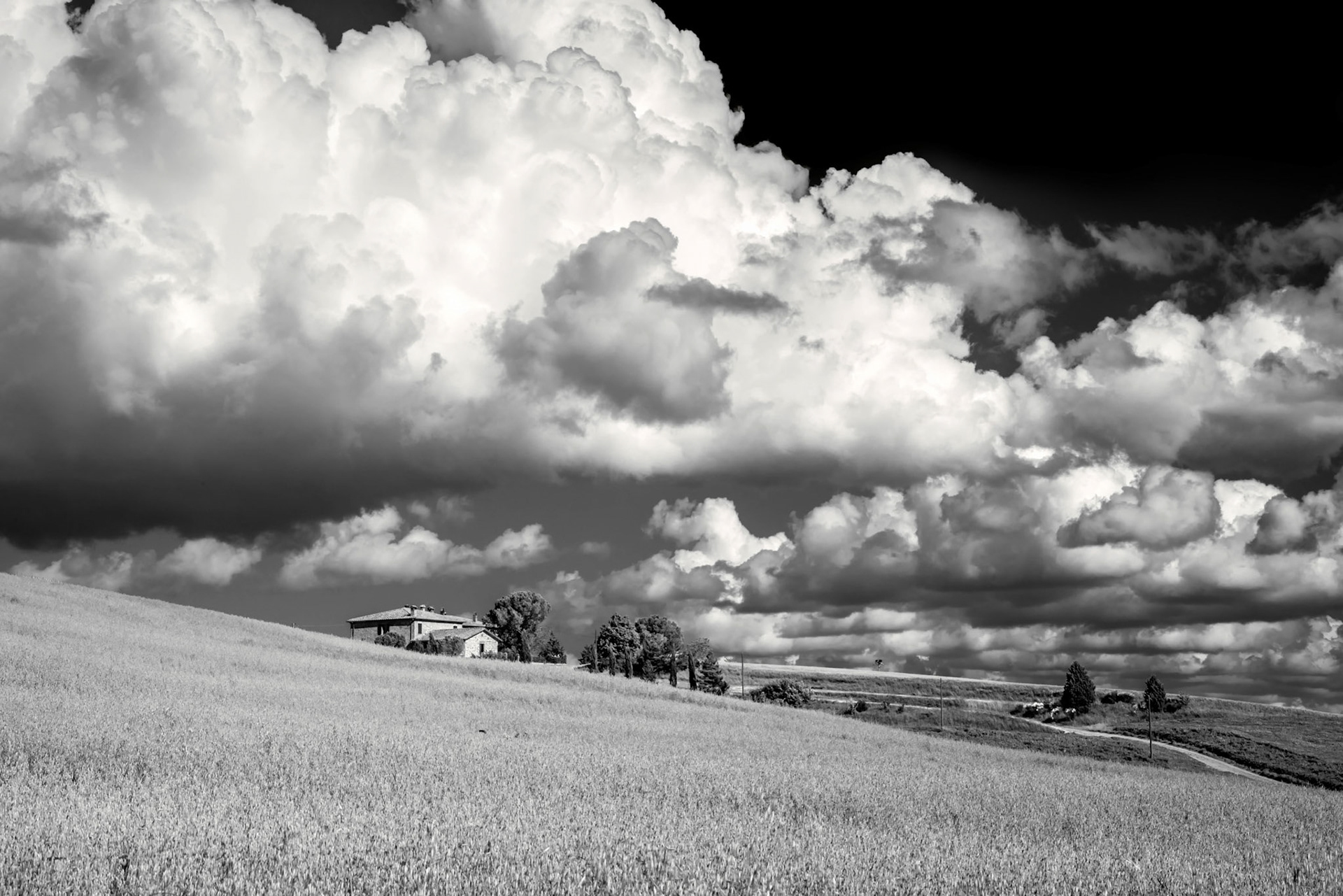 Farmland in Val d'Orcia Tuscany