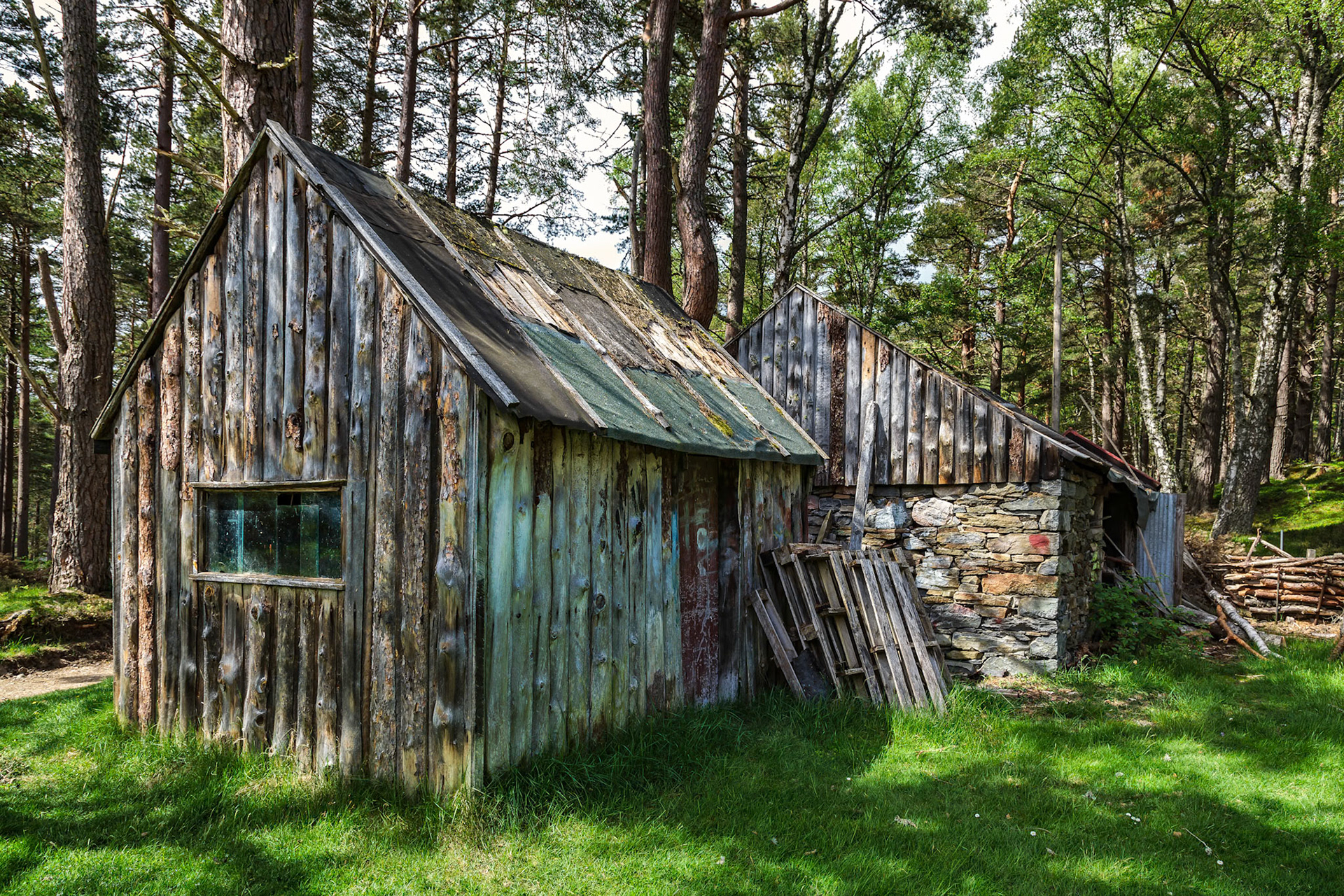 Derelict Shack near Loch an Eilein