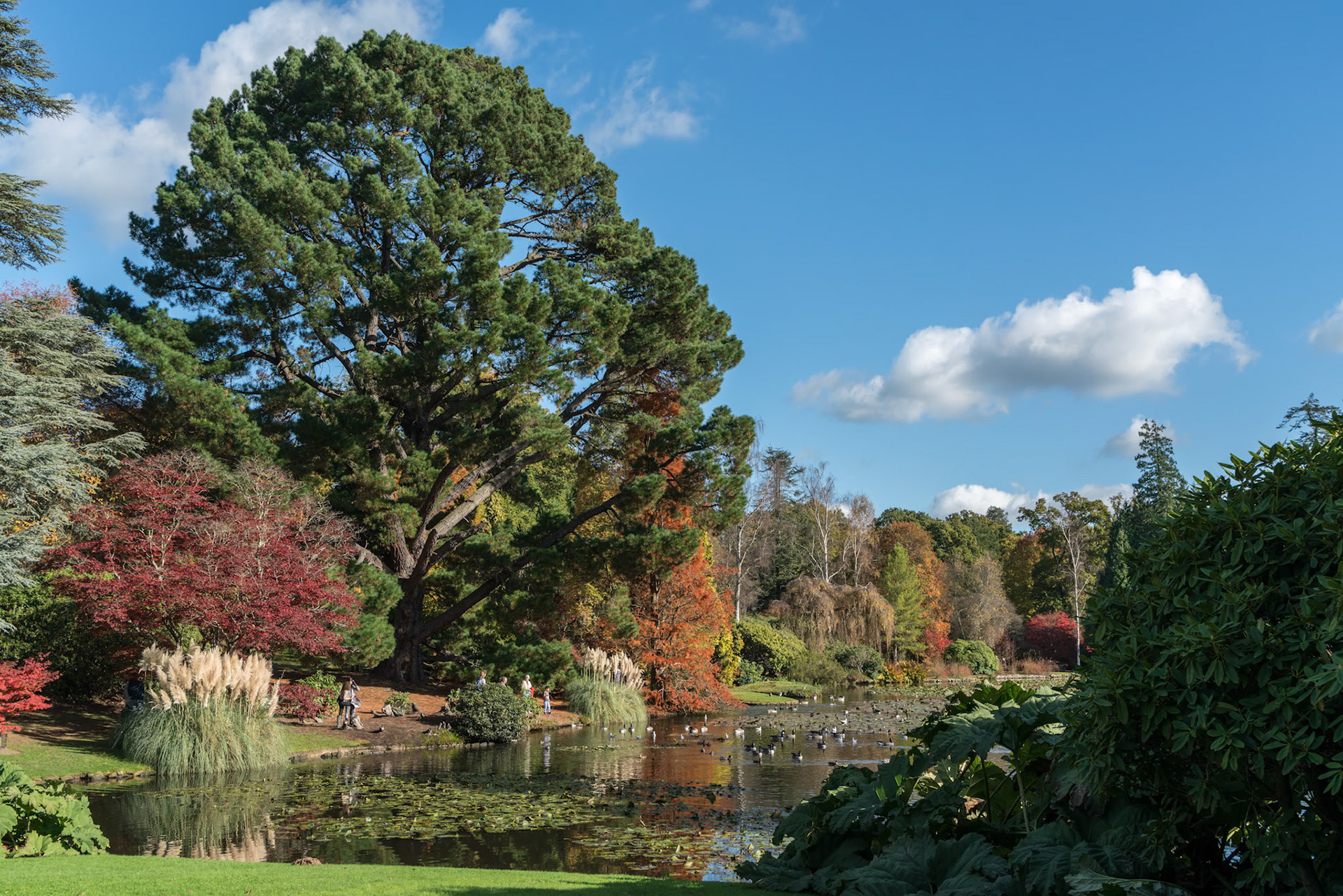 View of Sheffield Park Gardens in Autumn