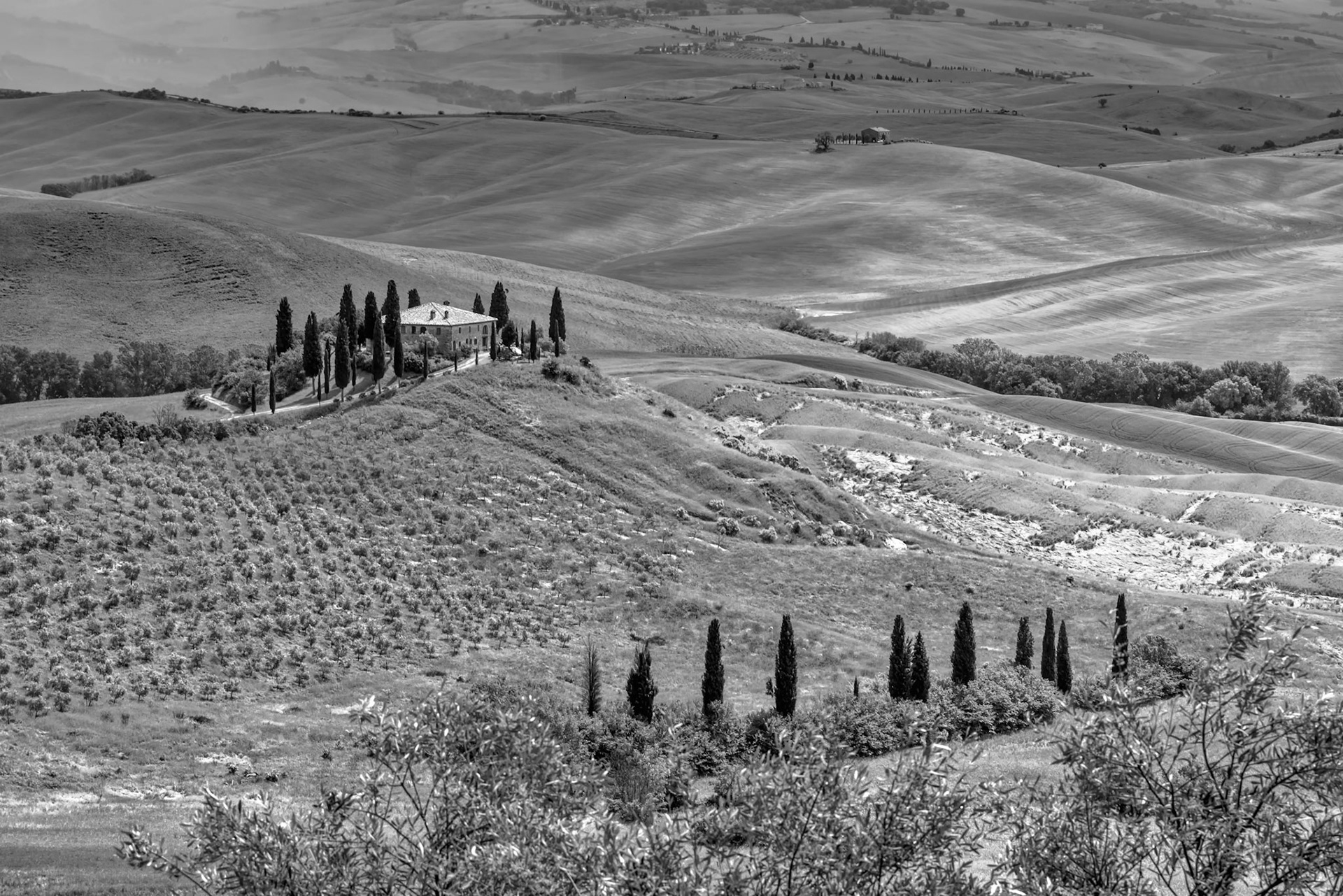 Farmland below Pienza in Tuscany