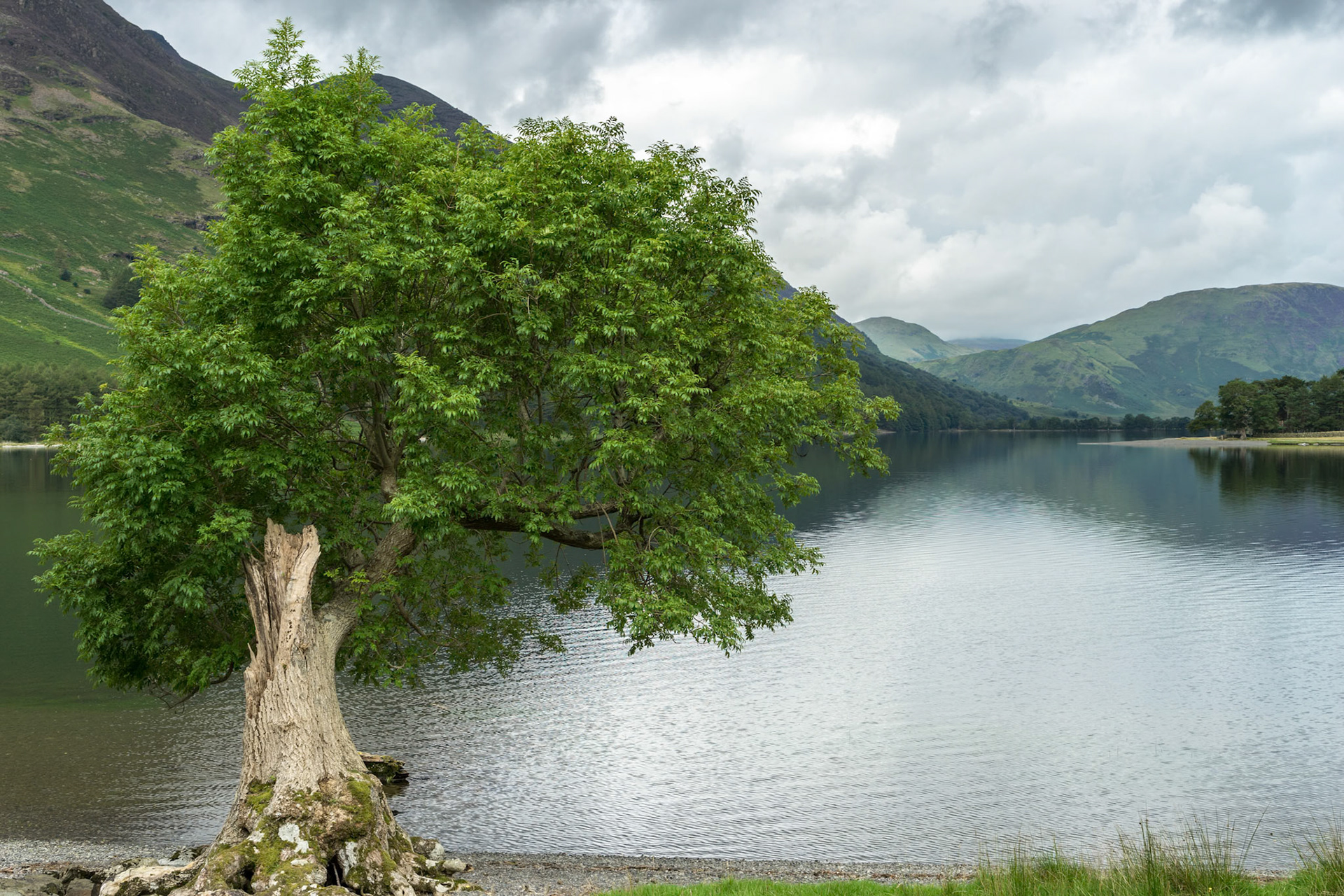 View of Buttermere