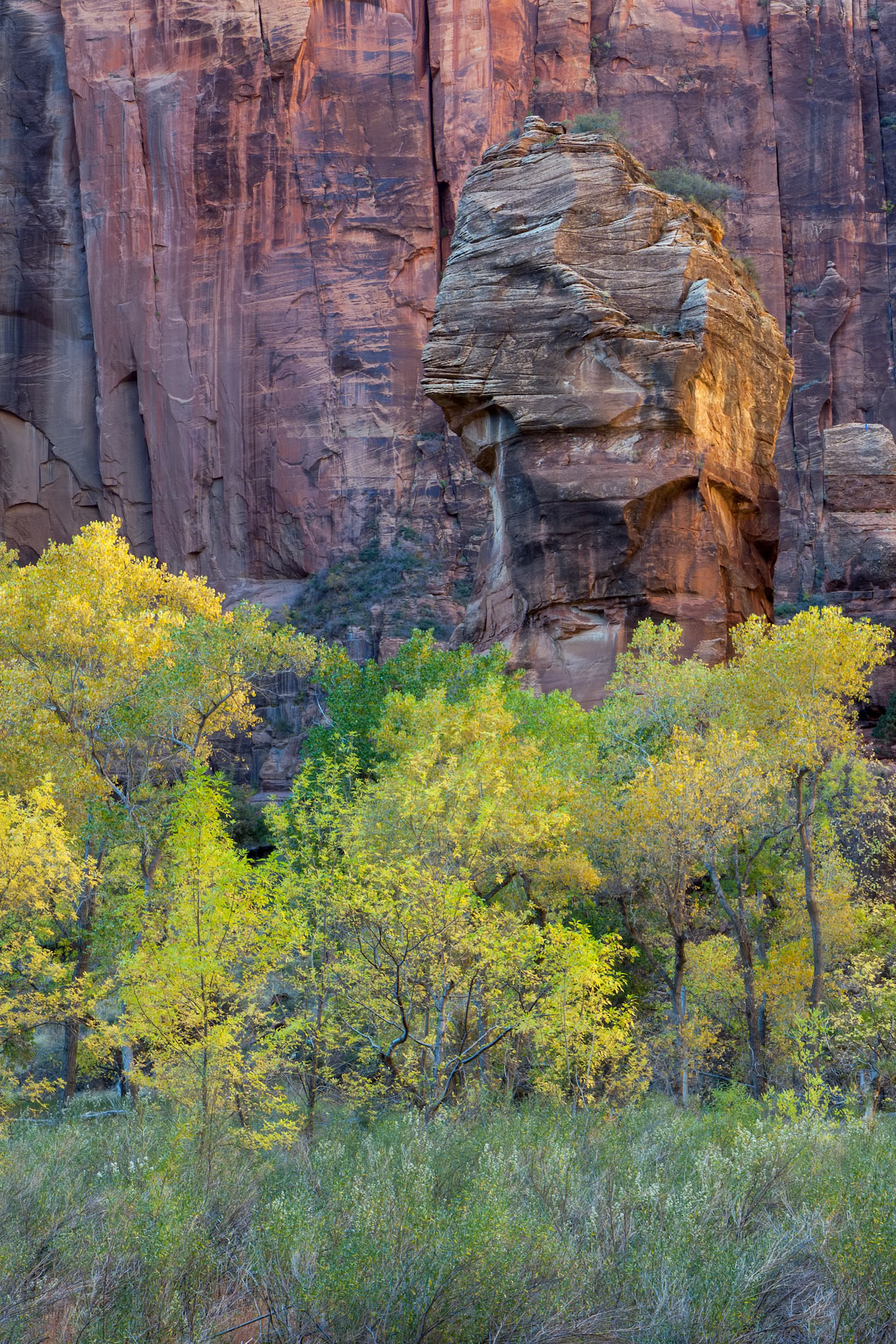 Piulpit Rock in Zion National Park Utah