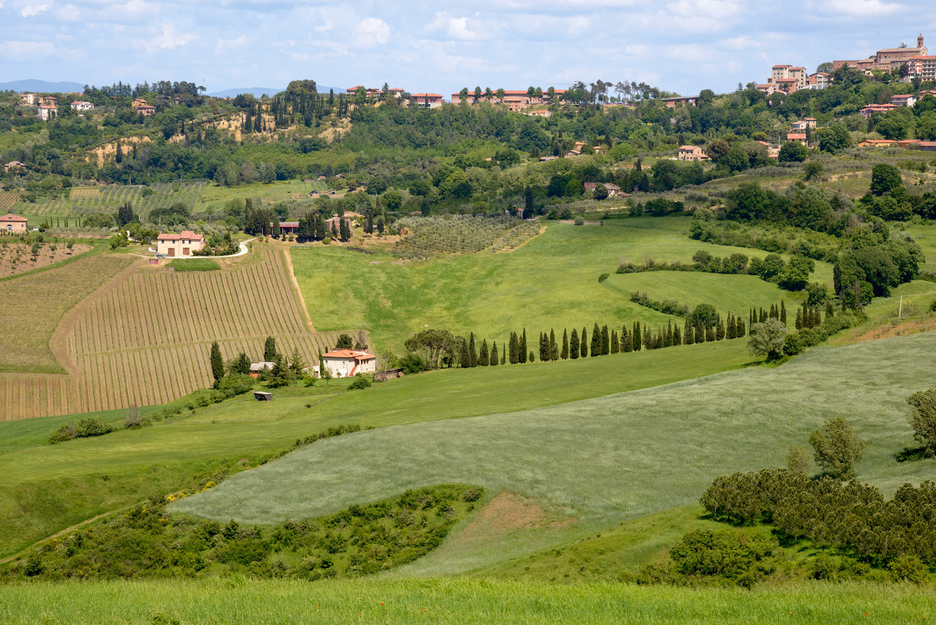 MONTEPULCIANO, TUSCANY/ITALY - MAY 17 : View of Montepulciano Italy on May 17, 2013