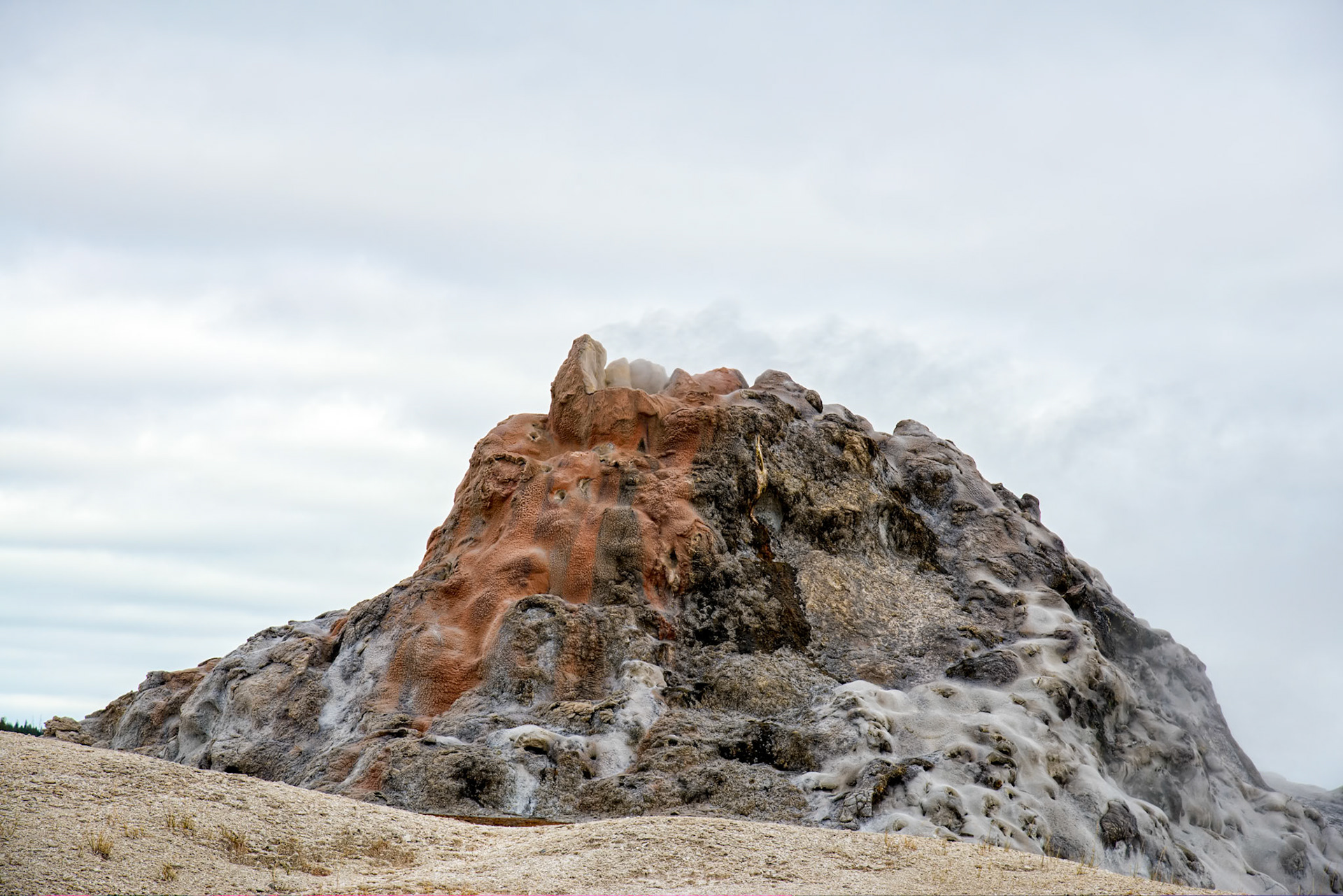 White Dome Geyser in Yellowstone National Park