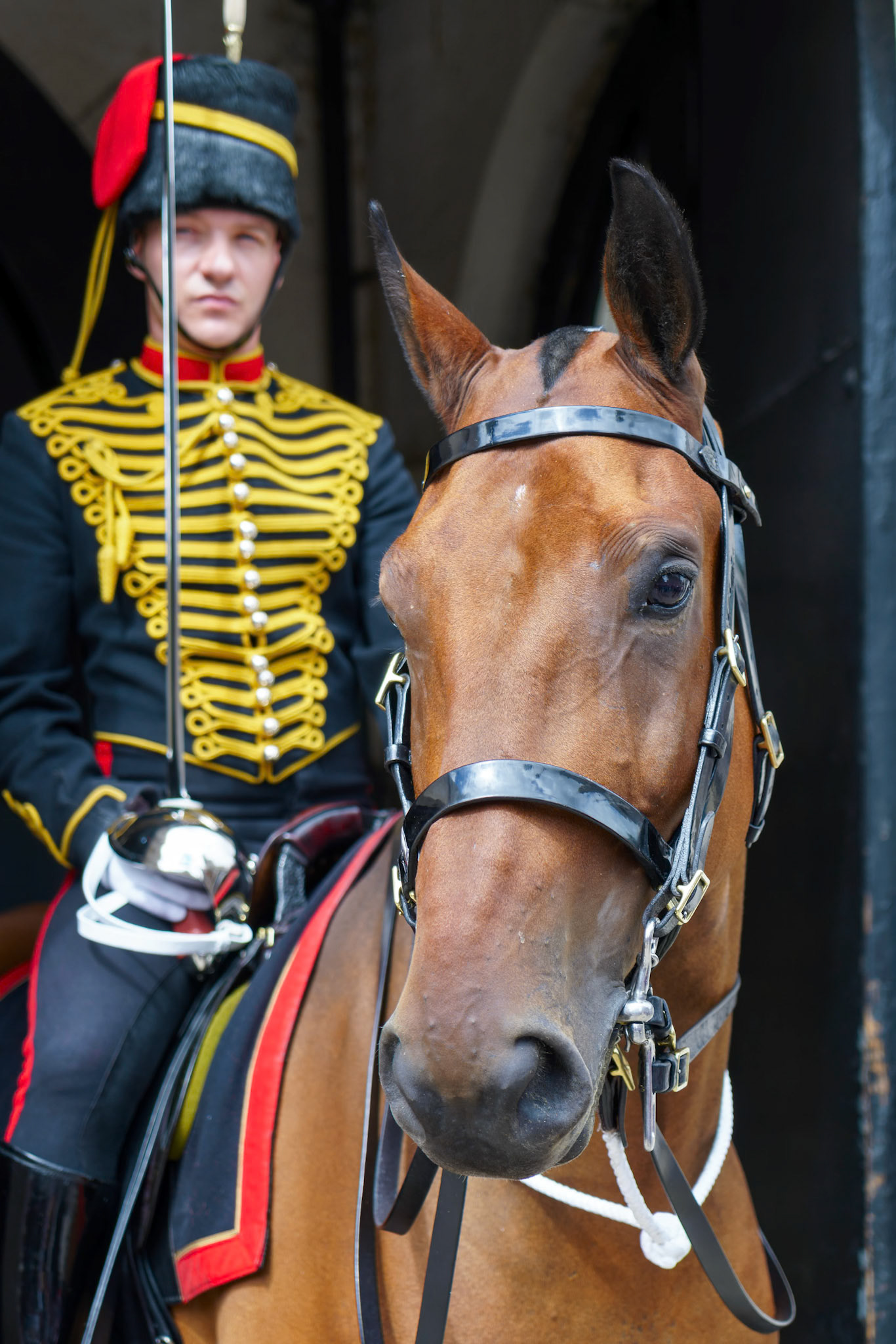 LONDON - JULY 30 : Kings Troop Royal Horse Artillery in Whitehall London on July 30, 2017. Unidentified man