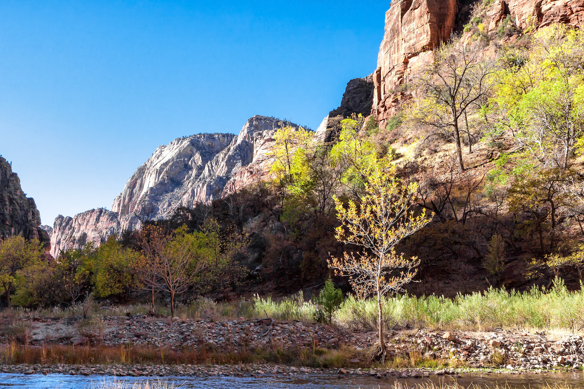 Sun and Shadow in Zion