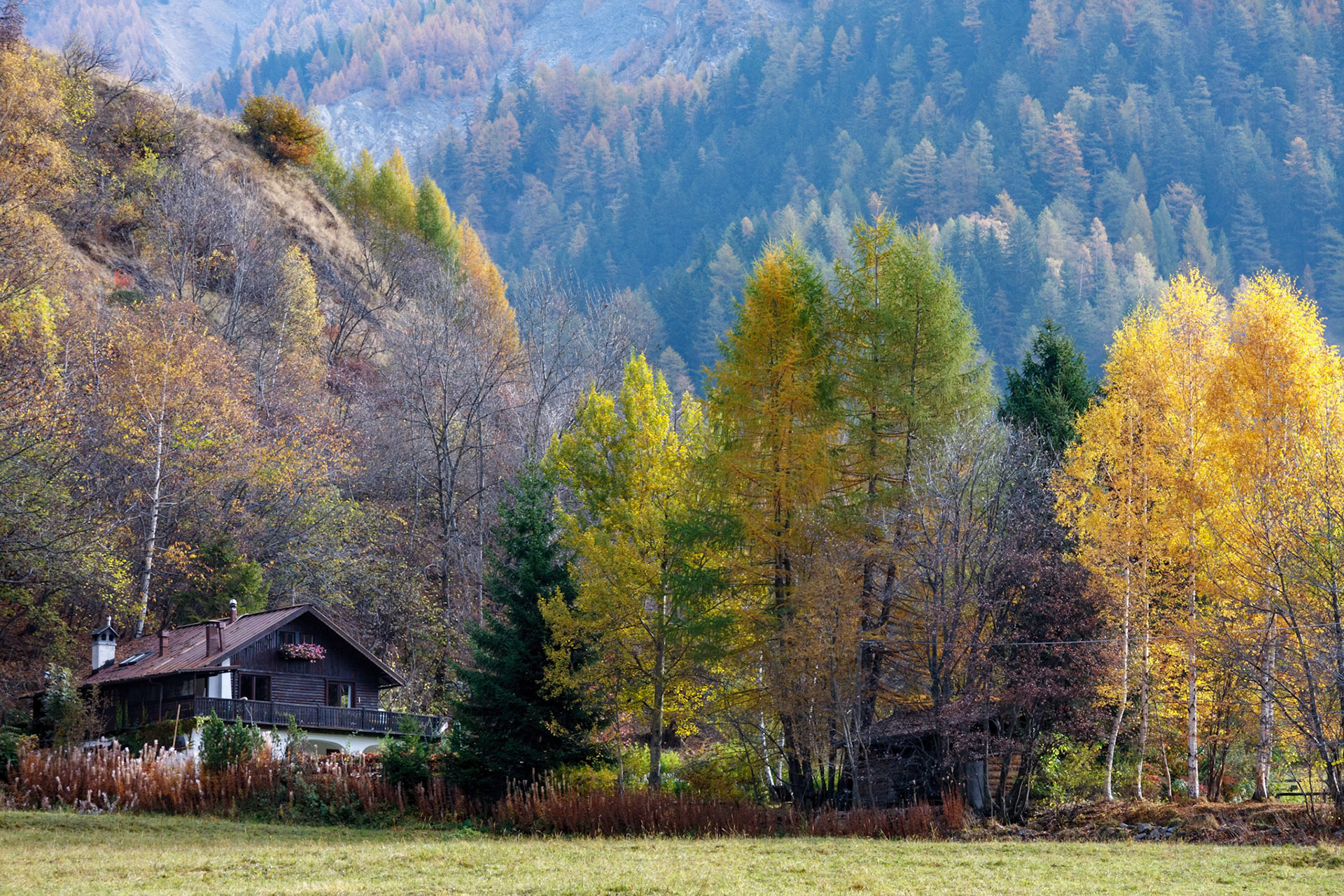 CORMAYEUR, ITALY/EUROPE - OCTOBER 27 : Autumn scene showing alpine style chalet and trees in Cormayeur Italy on October 27, 2008