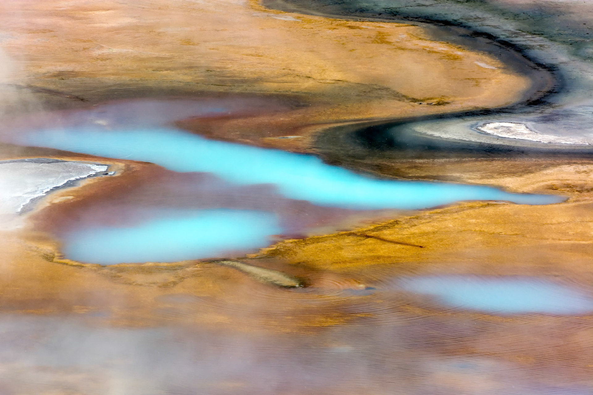 Norris Geyser Basin