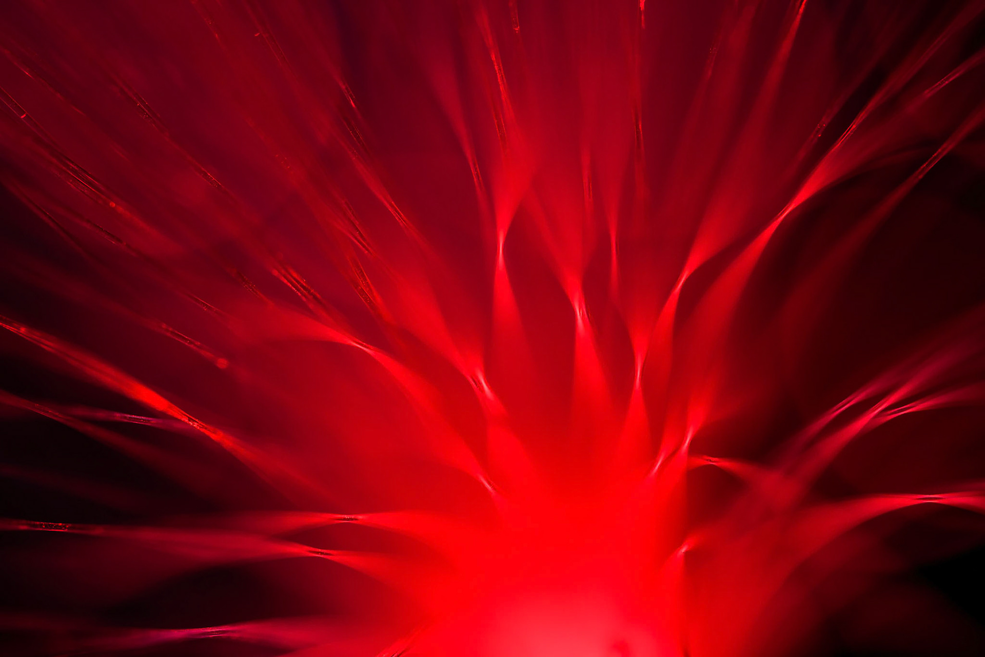 Fibre Optic Abstract