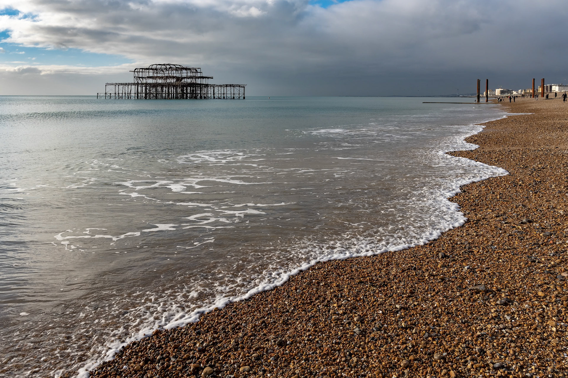 Poppy flowering in summertime in East Grinstead