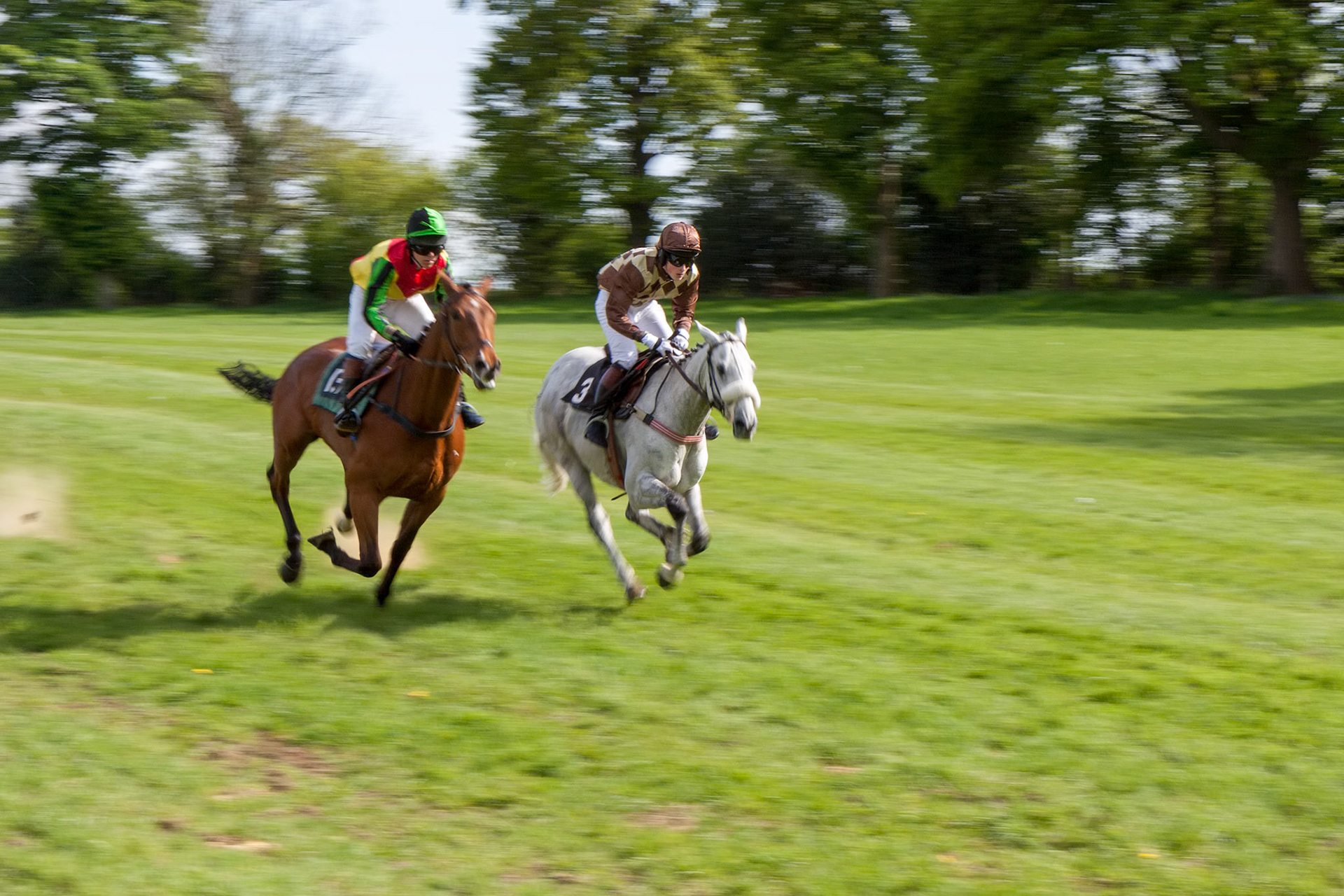 GODSTONE, SURREY/UK - MAY 2 : Point to point racing at Godstone Surrey on May 2, 2009. Two unidentified people