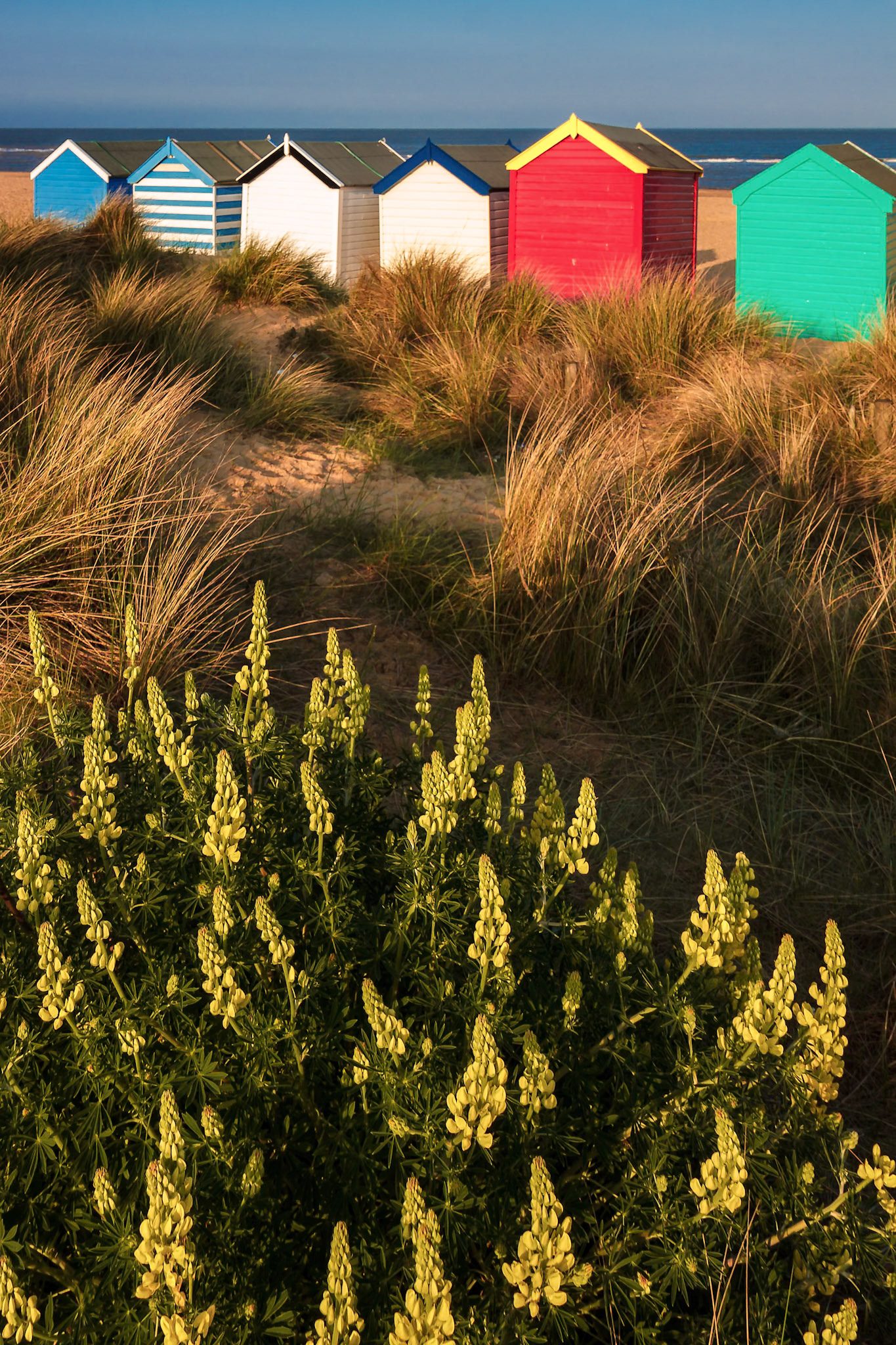 Colourful Beach Huts at Southwold