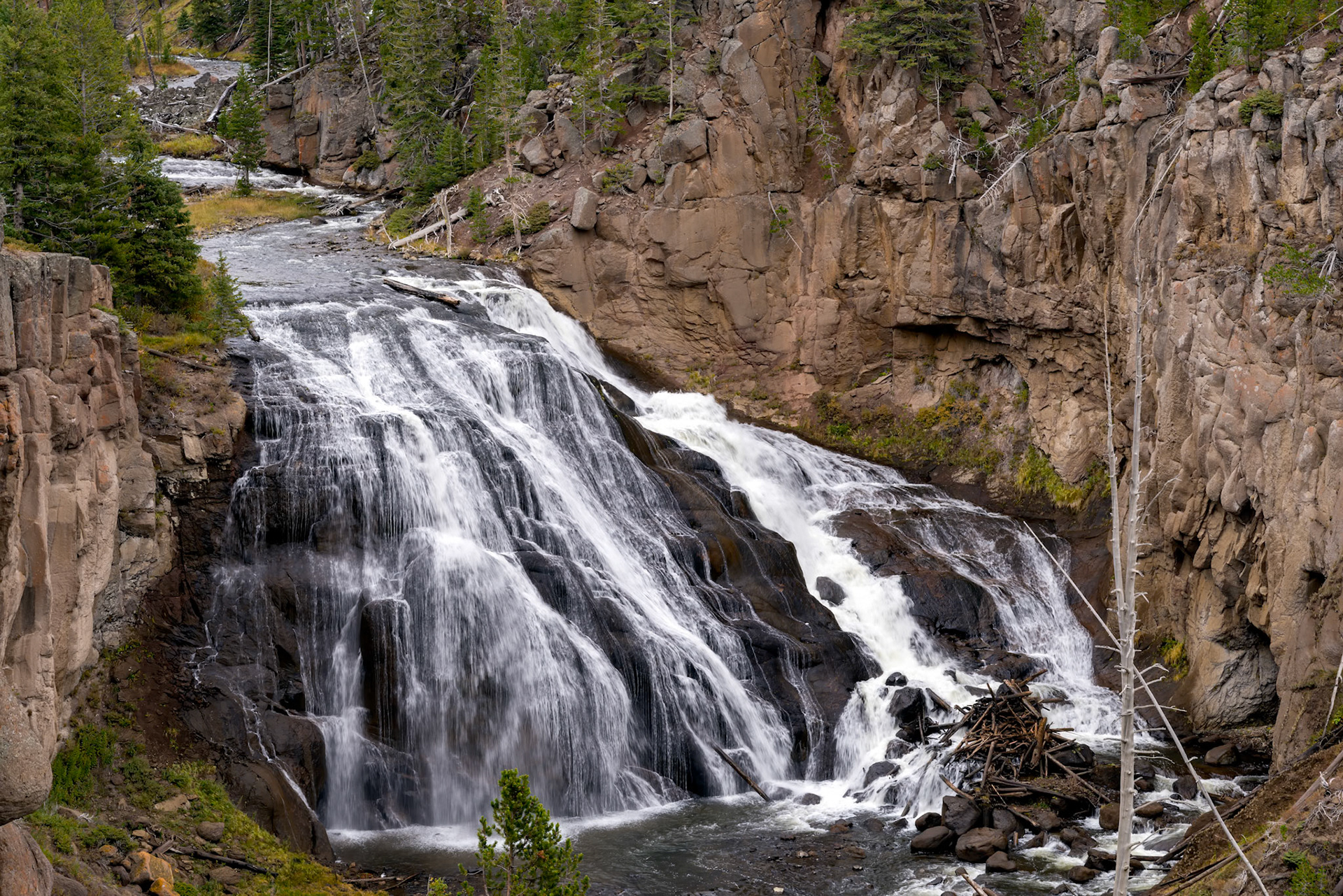 View of Gibbon Falls in Yellowstone National Park