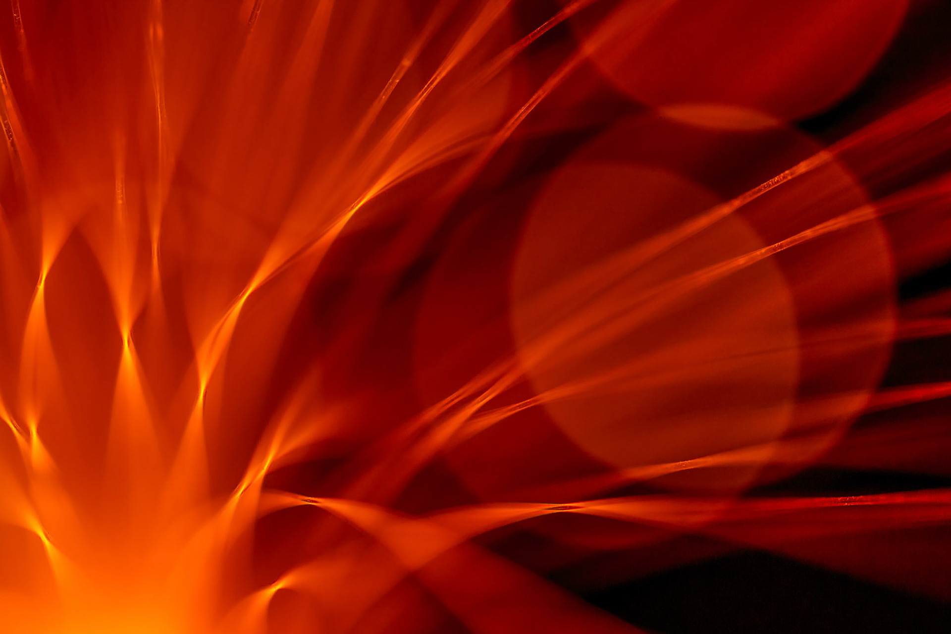 Fibre Optic Abstract