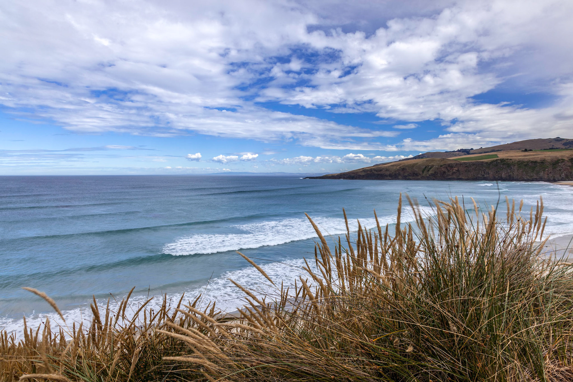View of Sandfly Bay in the South Island of New Zealand