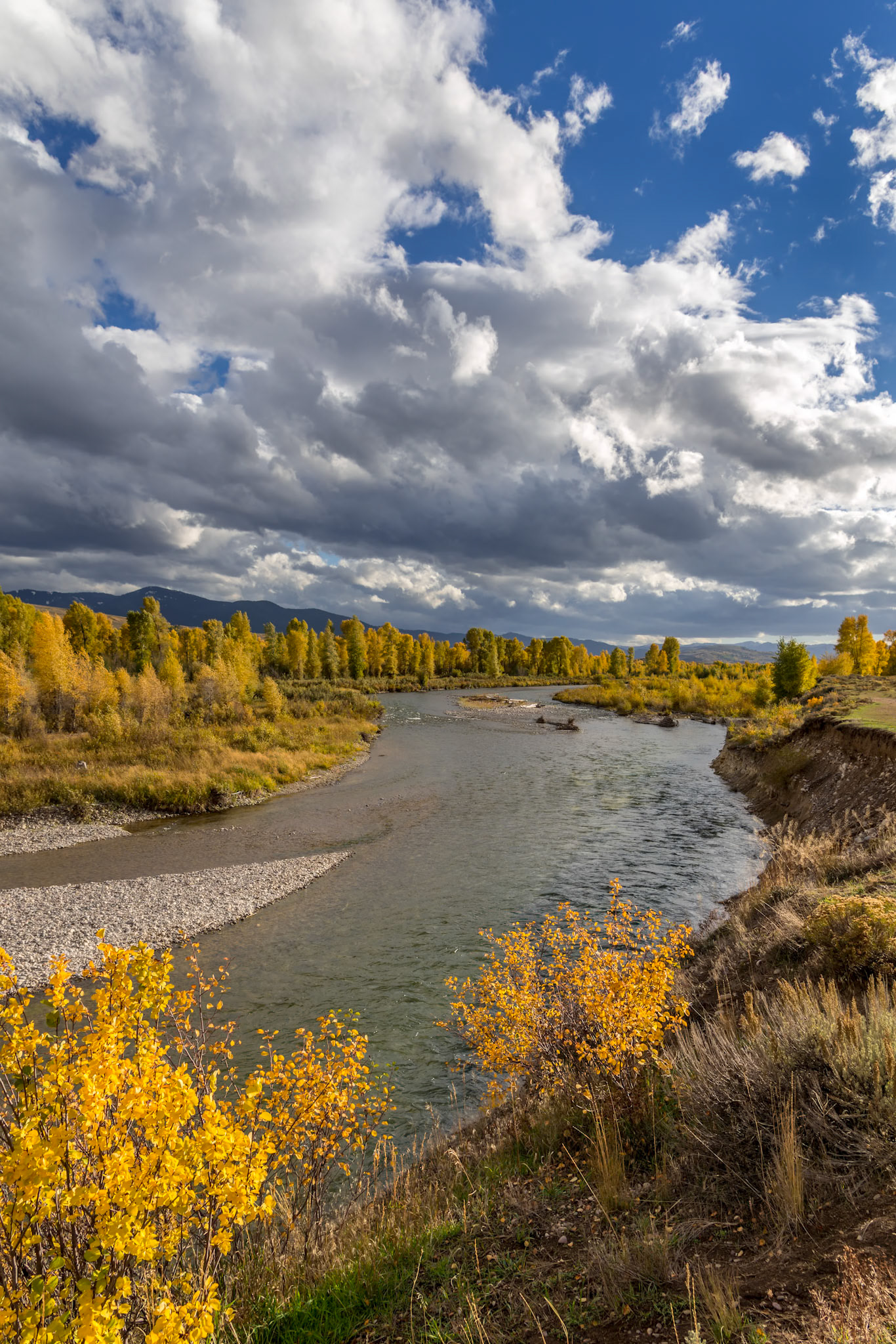Gros Ventre River
