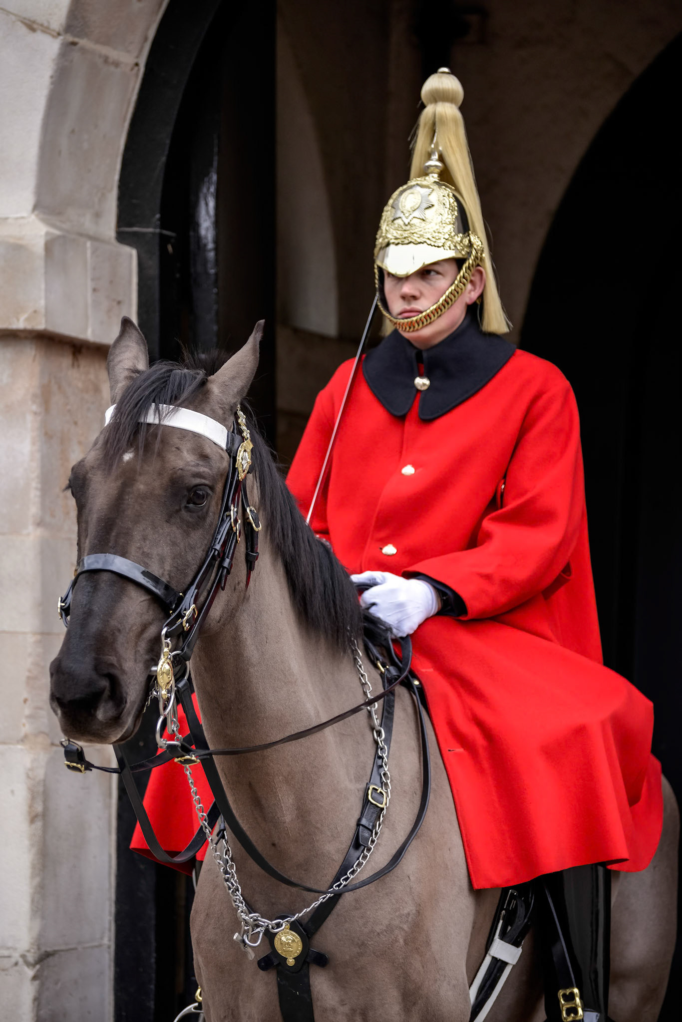 Lifeguard of the Queens Household Cavalry