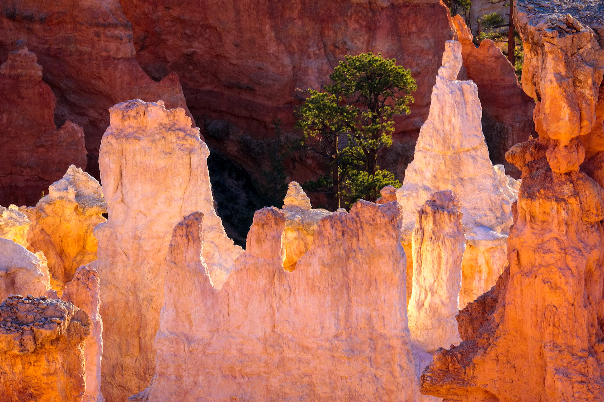 Detail from Bryce Canyon Southern Utah