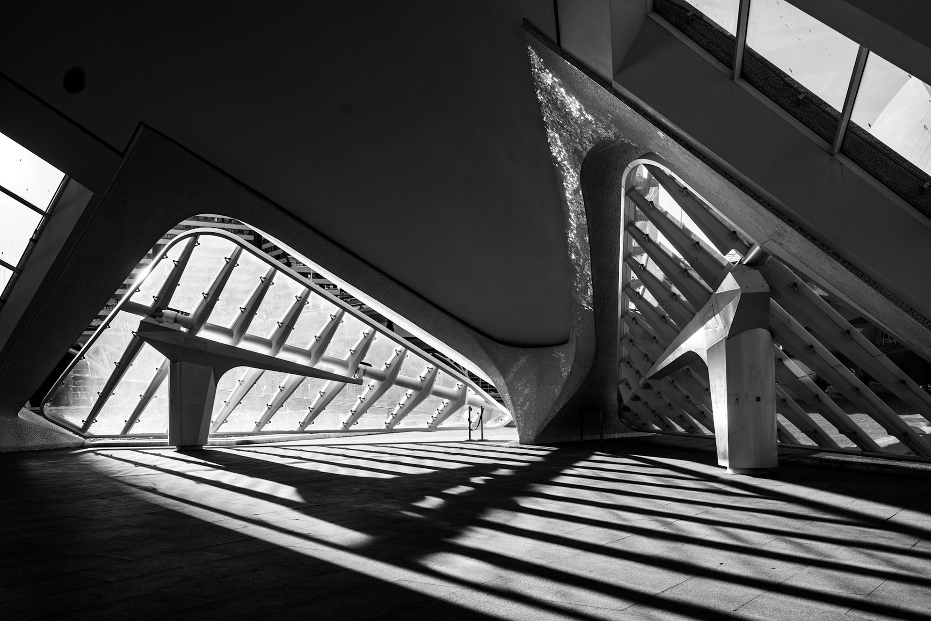 VALENCIA, SPAIN - FEBRUARY 25 : Imax Cinema in the City of Arts and Sciences in Valencia Spain on February 25, 2019