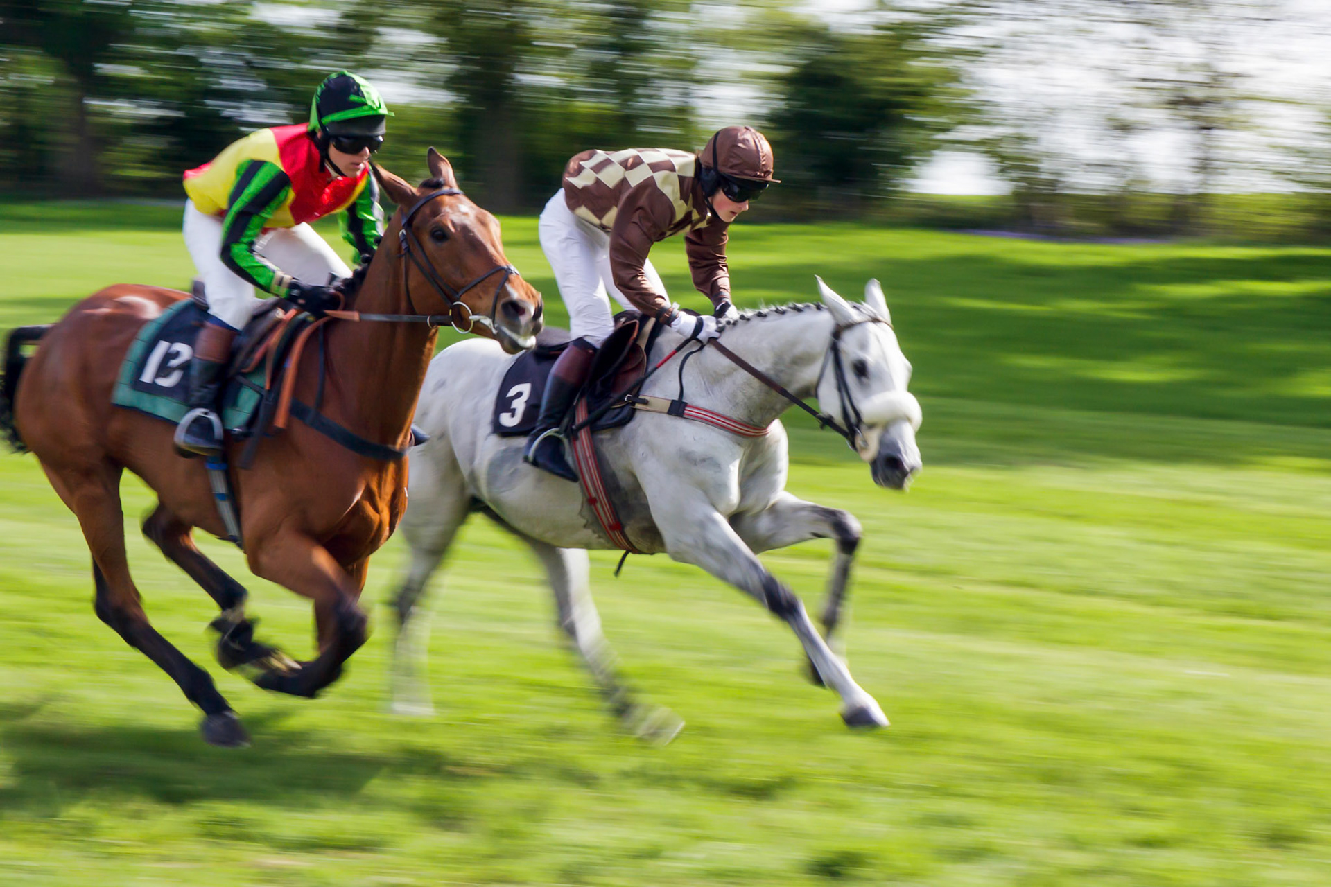 Point to Point Racing at Godstone