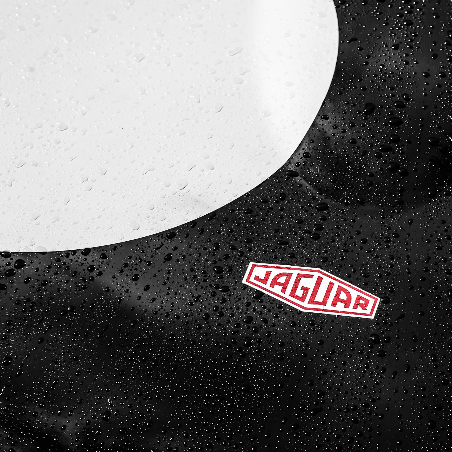 Raindrops Beading on a Jaguar's Bonnet at Goodwood