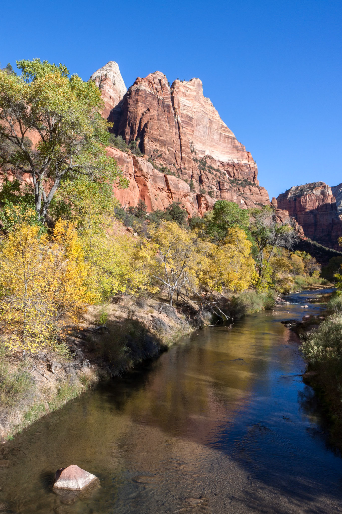 Virgin River Meandering through the Mountains of Zion