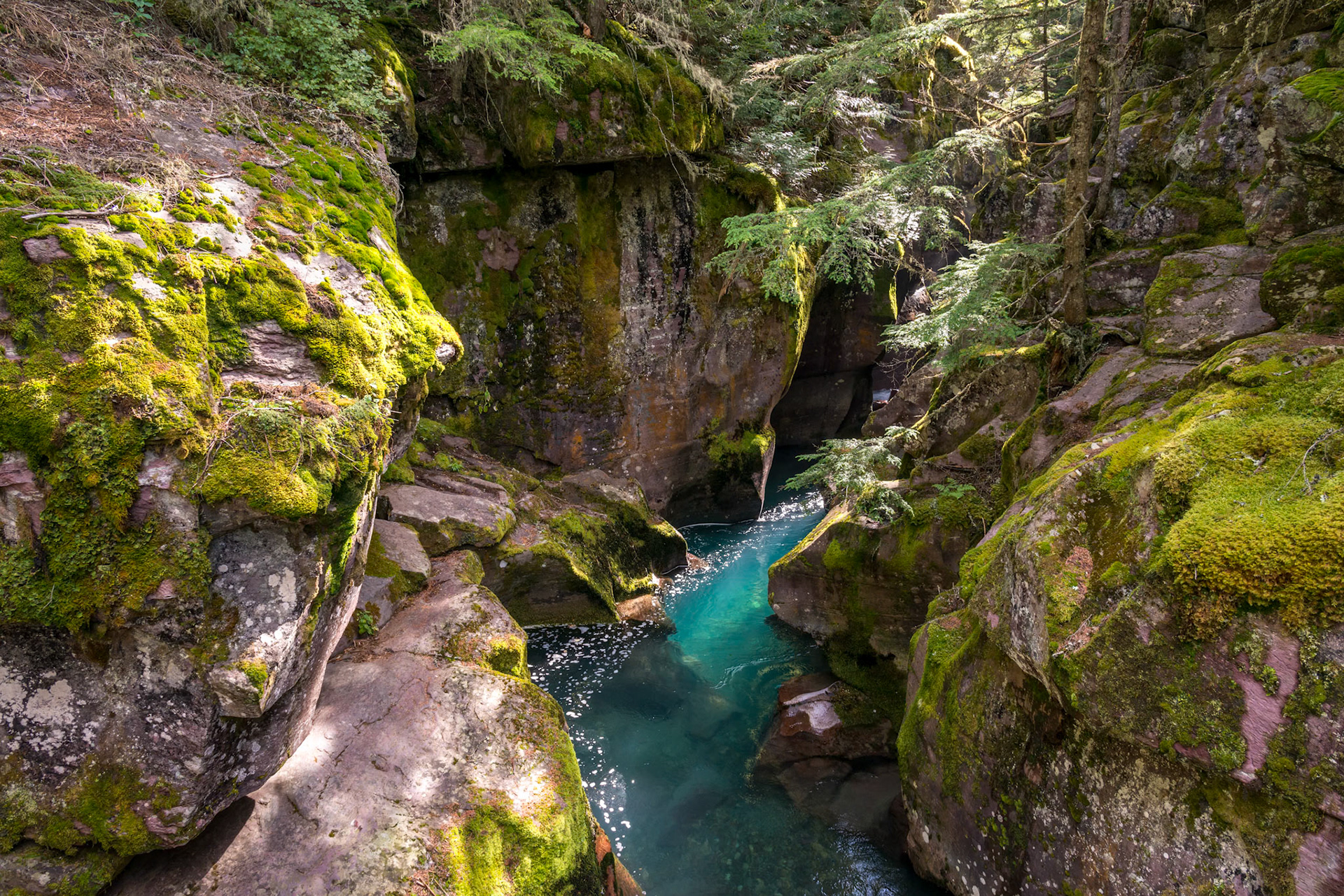 Looking into Avalanche Creek